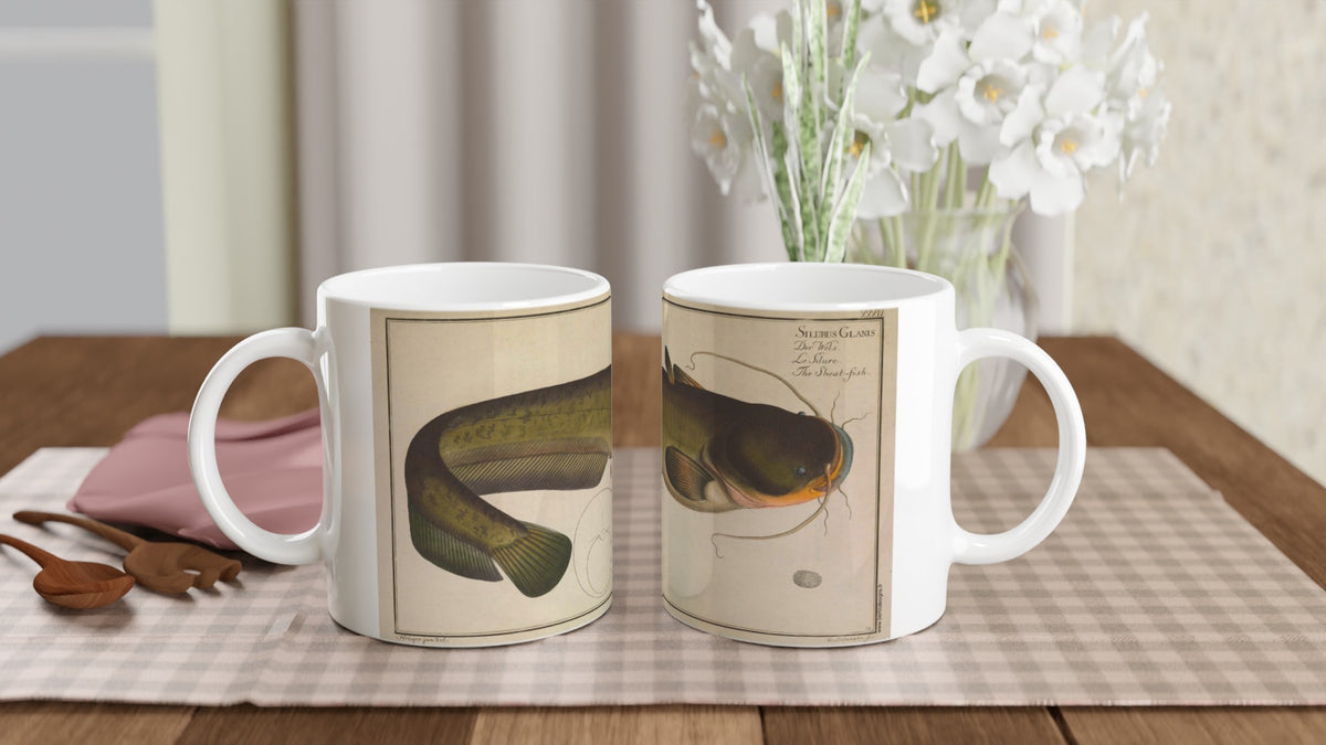 Mug illustré avec planche naturaliste ancienne de Silure. Mug illustré d'une planche naturaliste ancienne représentant un silure, Silurus glanis, avec son nom inscrit en latin, allemand, français et anglais.