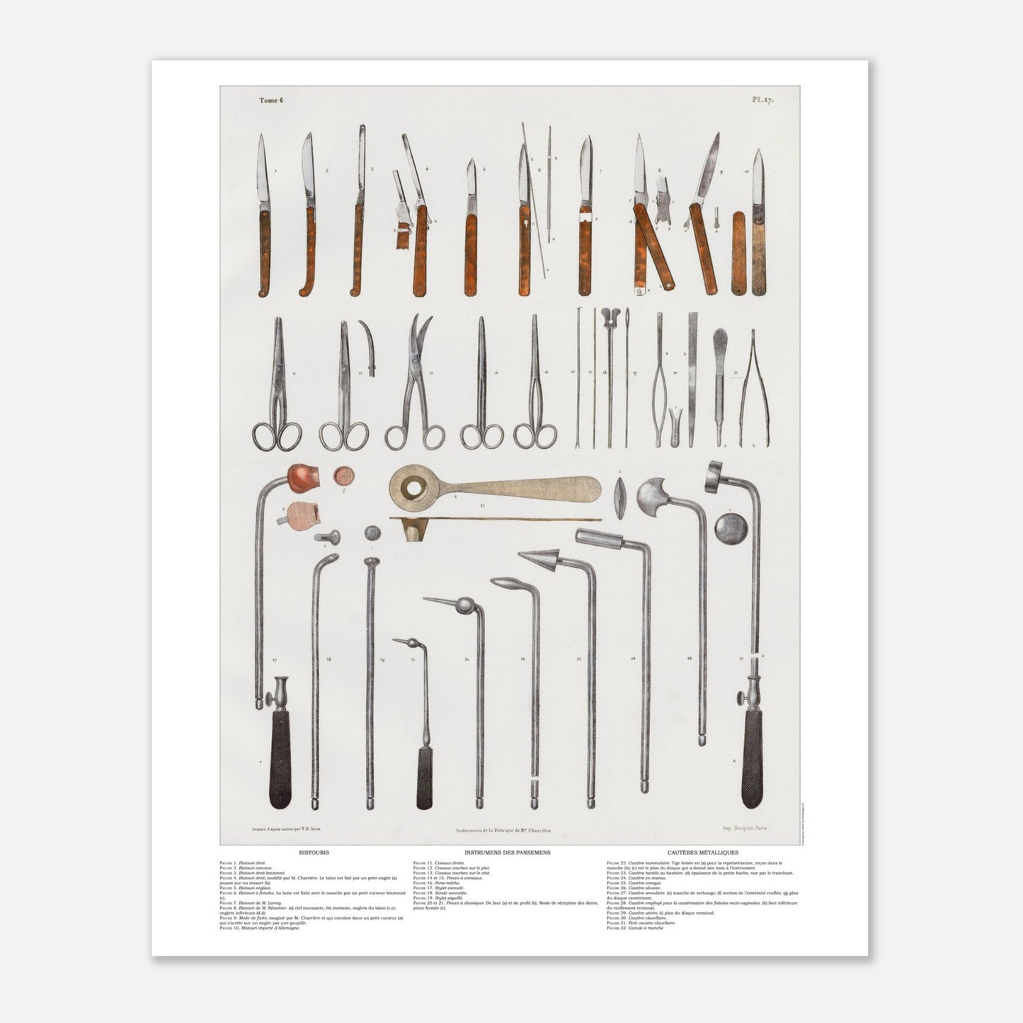 Planche d'anatomie chirurgicale - Bistouris, ciseaux et cautères métalliques - Taille 40x50 cm