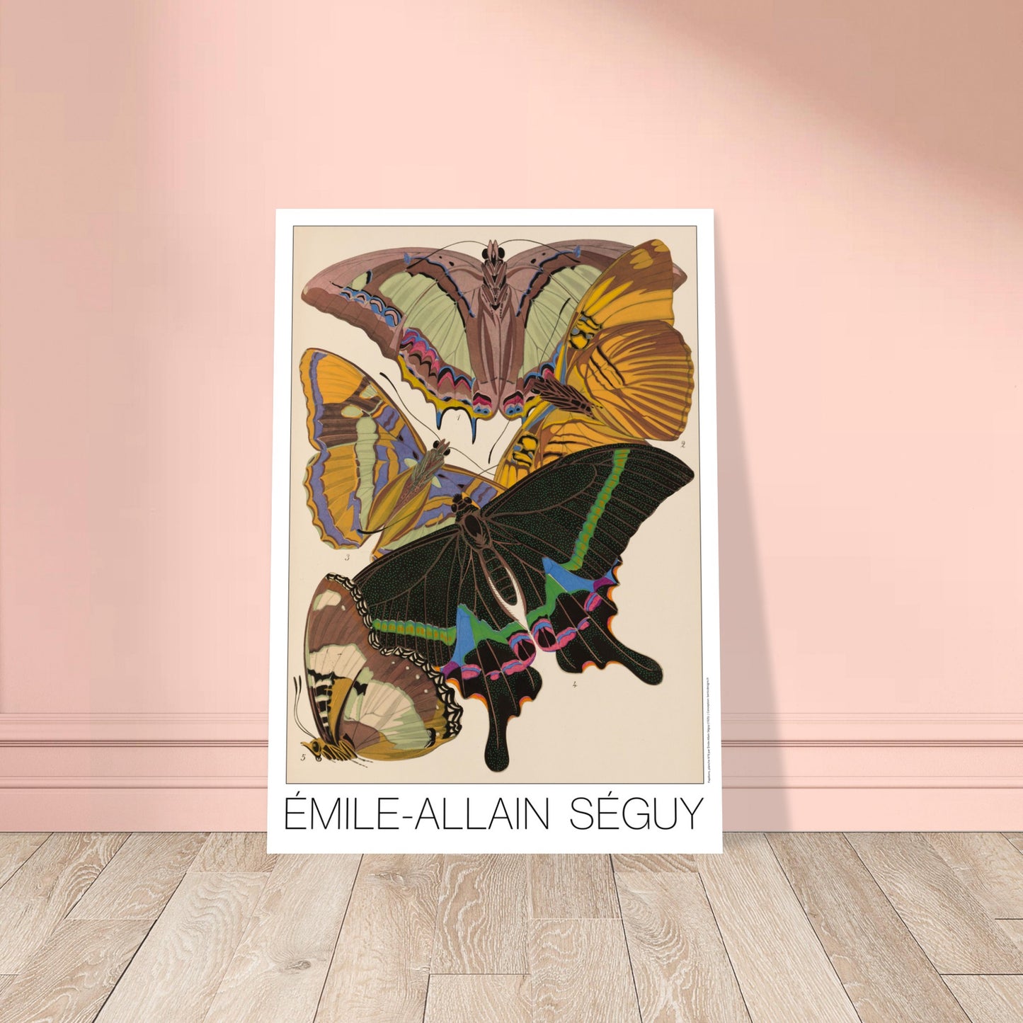 Planche de papillons exotiques (Eriboea, Papilio) par Émile-Allain Séguy. Cette affiche Art Déco présente une composition de cinq papillons aux ailes aux motifs complexes et aux couleurs vives. Image d'illustration 8