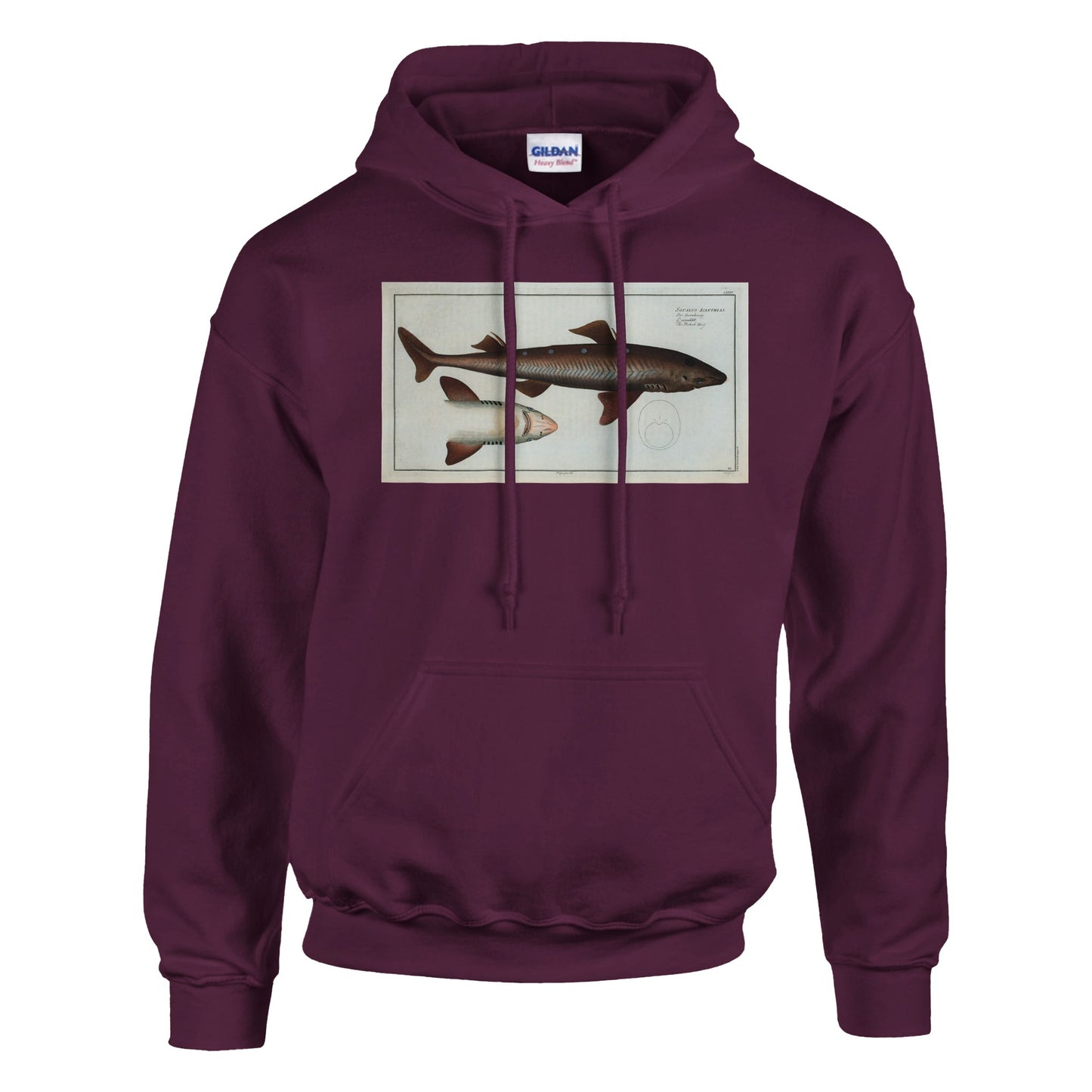 Sweat Requin «L'Aiguillât» - Squalus Acanthias - image 53001896821069