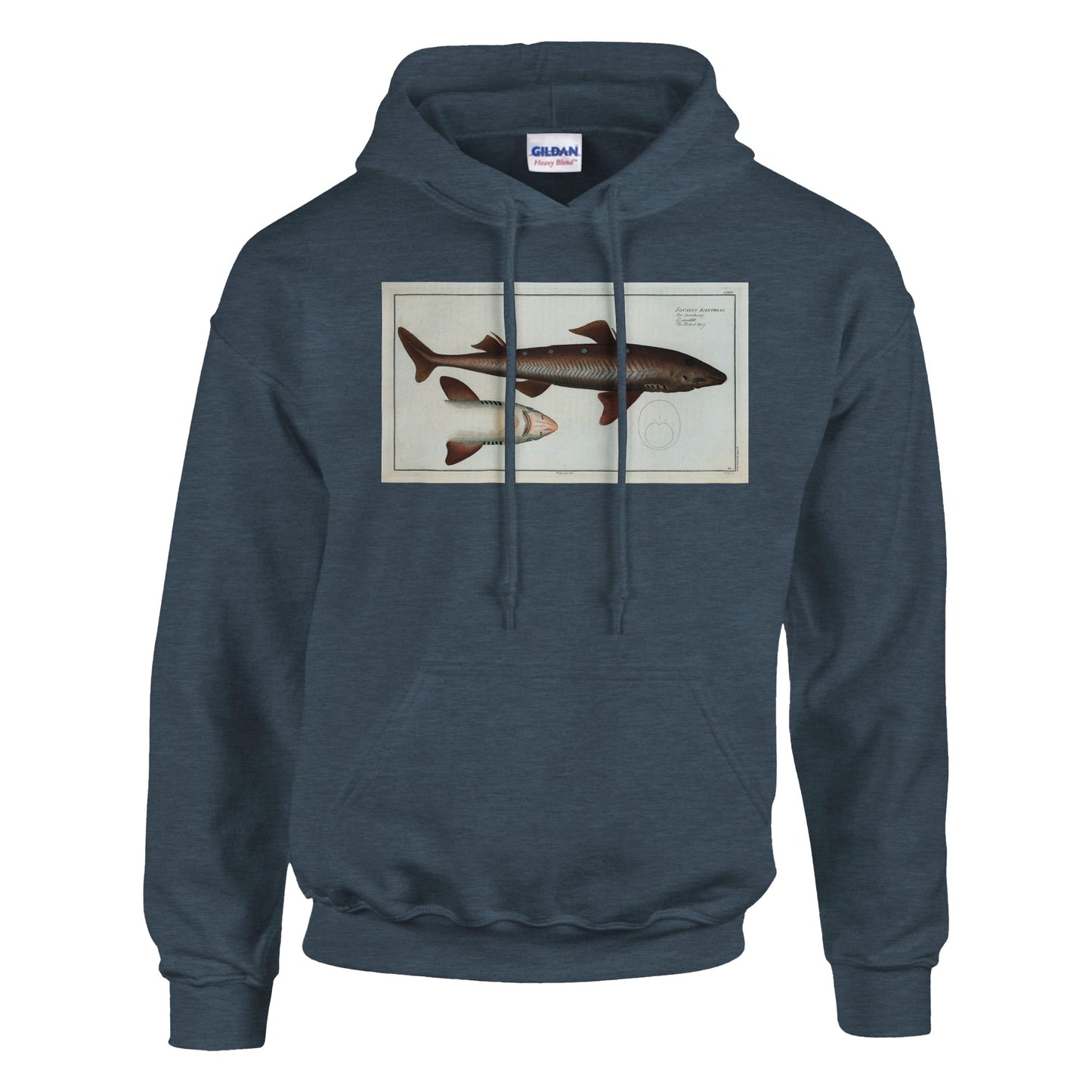 Sweat Requin «L'Aiguillât» - Squalus Acanthias - image 53001896853837