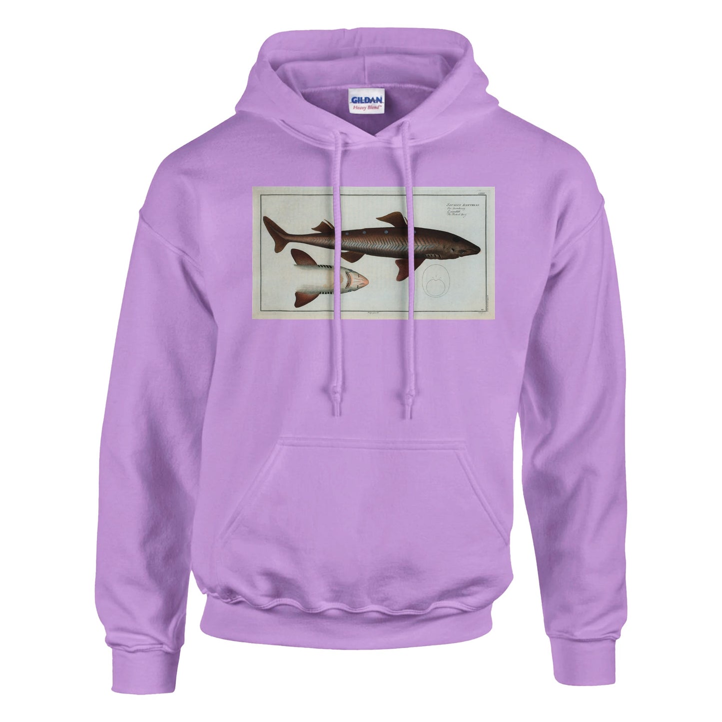 Sweat Requin «L'Aiguillât» - Squalus Acanthias - image 53001896984909