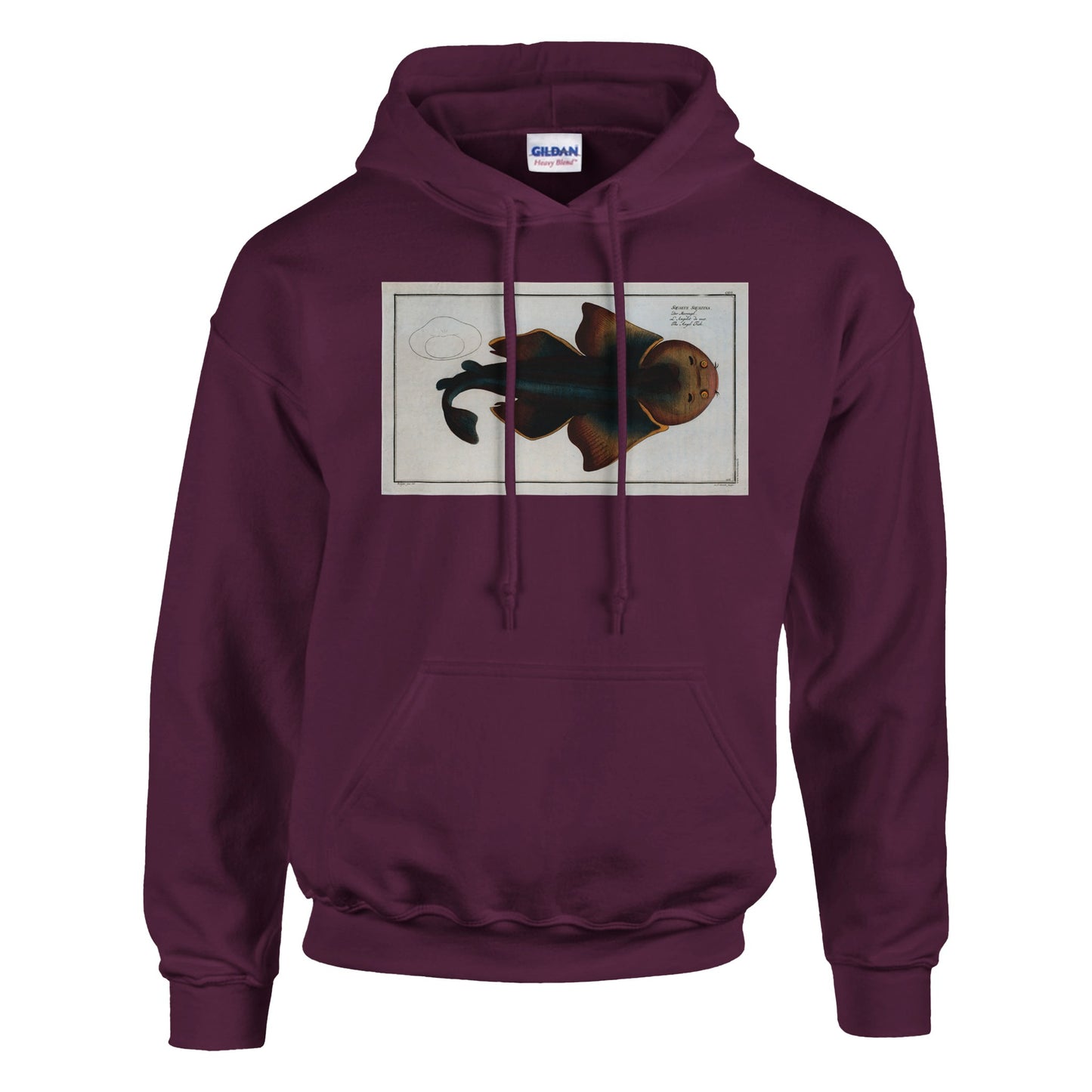 Sweat Requin «L'Angelot de mer» - Squalus Squatina - image 53001850683725