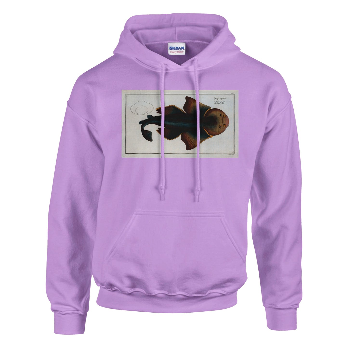 Sweat Requin «L'Angelot de mer» - Squalus Squatina - image 53001850782029