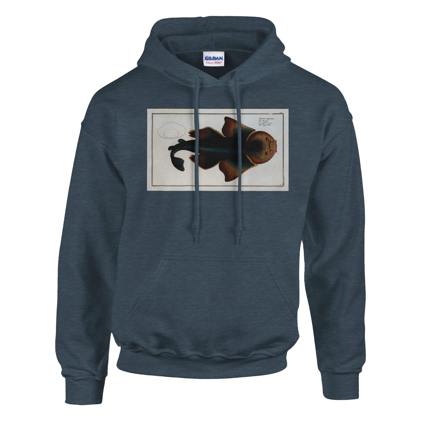 Sweat Requin «L'Angelot de mer» - Squalus Squatina - image 53001850945869