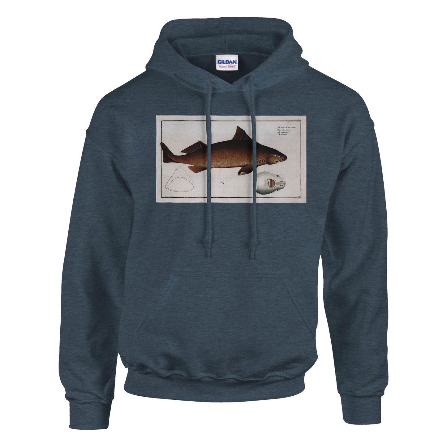 Sweat Requin «La Centrine» - Squalus Centrina - image 53001836724557