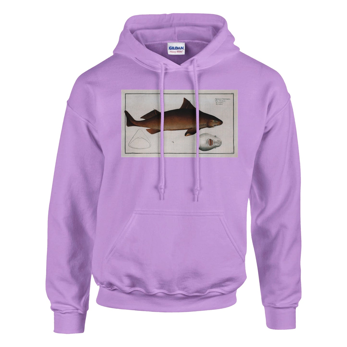 Sweat Requin «La Centrine» - Squalus Centrina - image 53001837183309