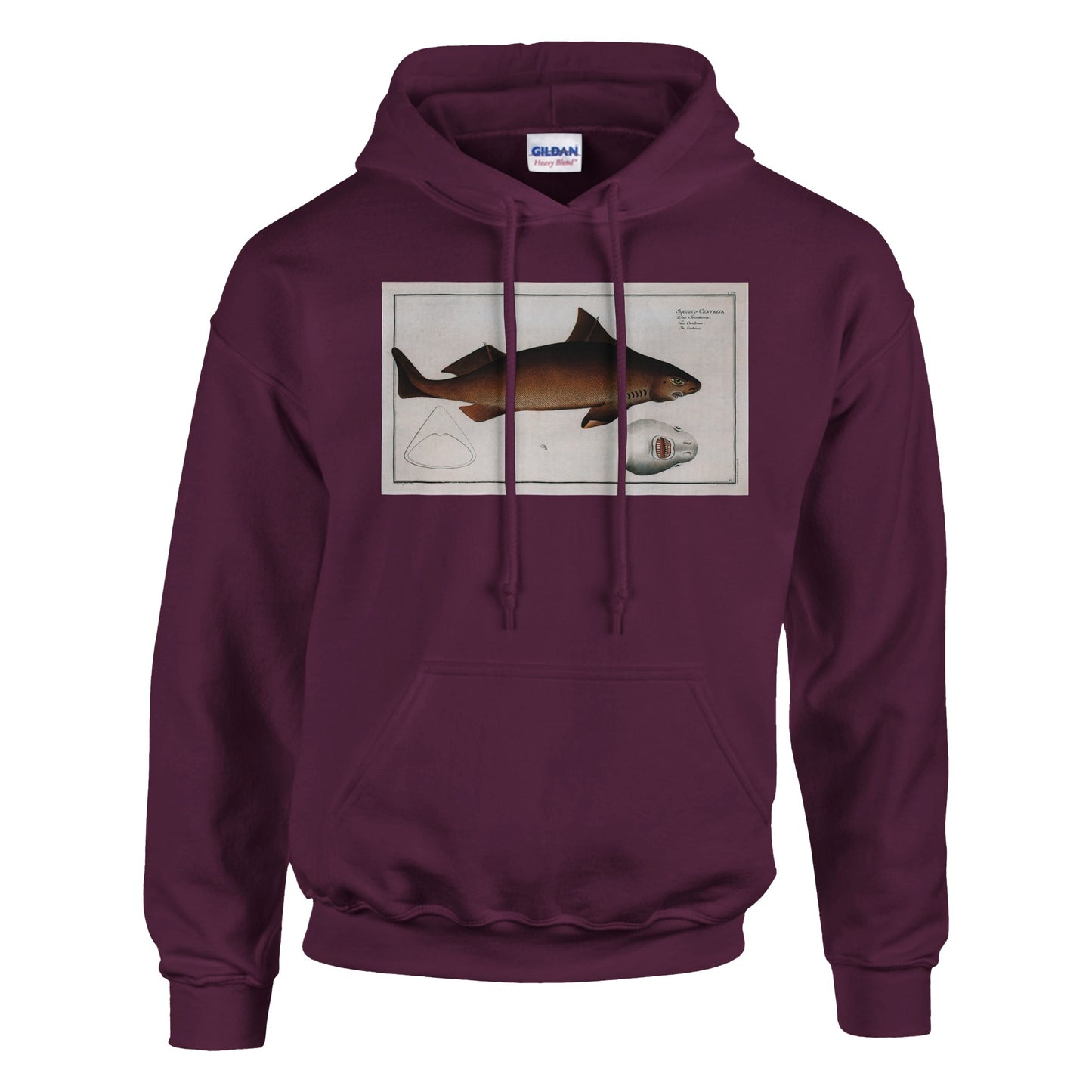 Sweat Requin «La Centrine» - Squalus Centrina - image 53001837216077
