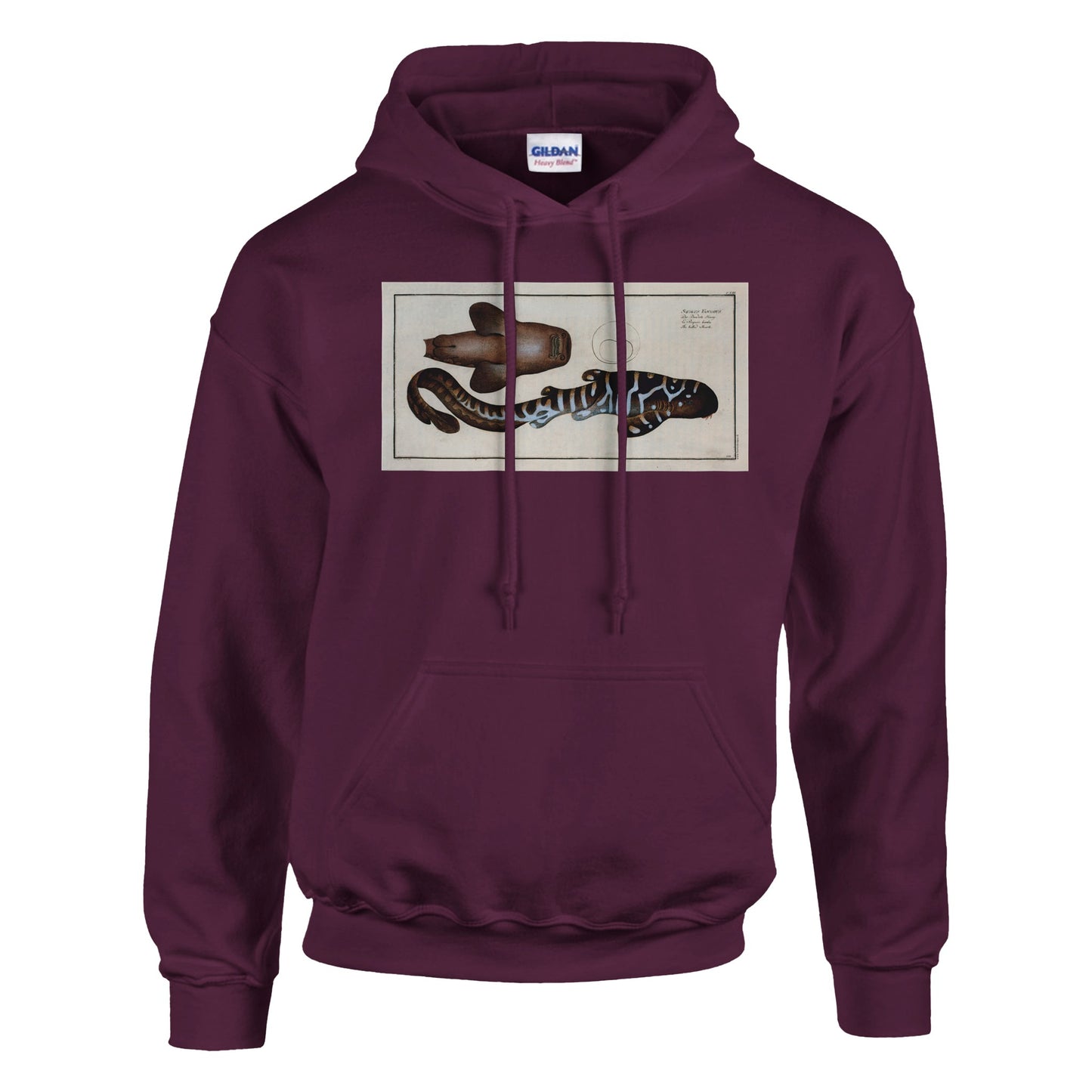 Sweat Requin «Le Barbu» - Squalus Fasciatus - image 53001826140493