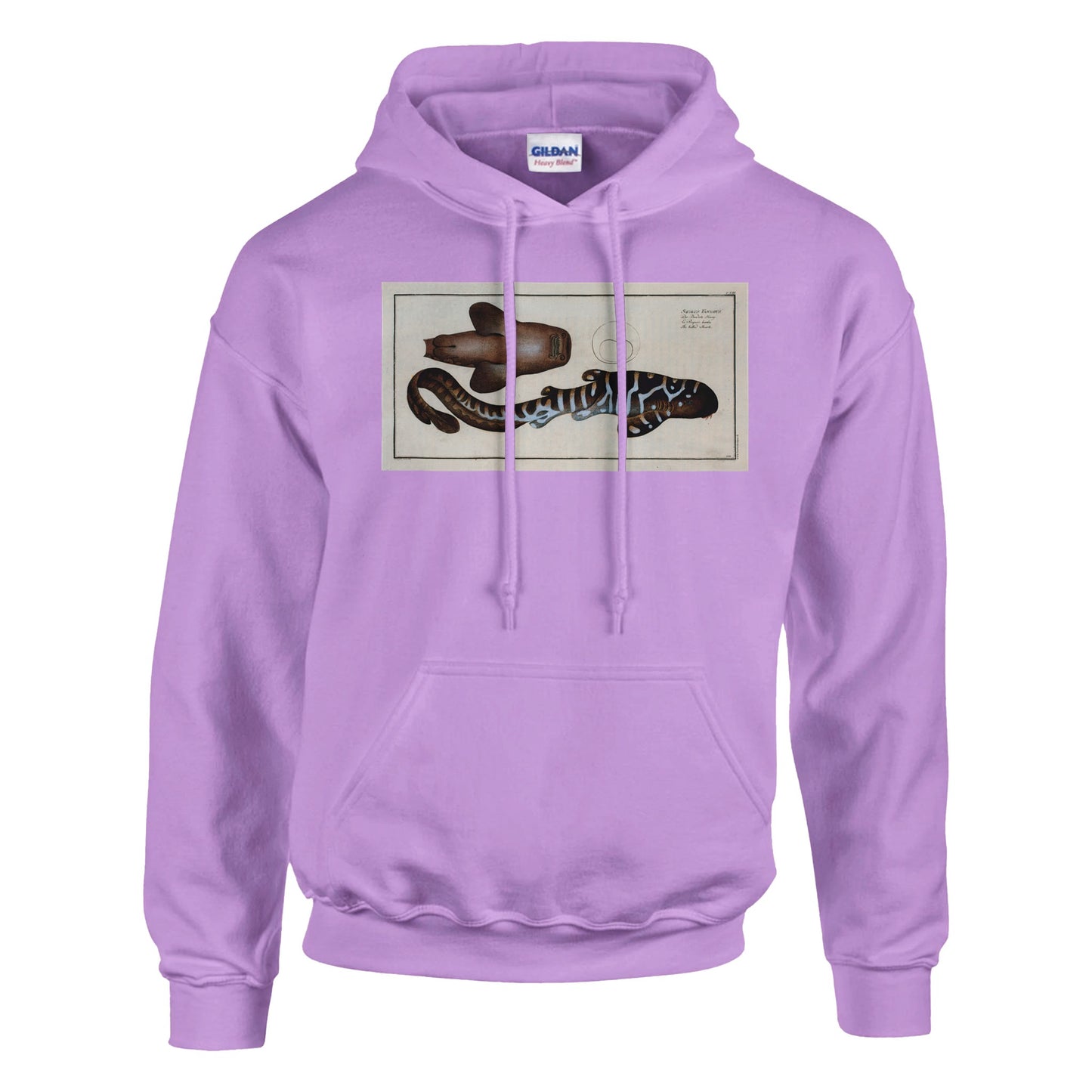 Sweat Requin «Le Barbu» - Squalus Fasciatus - image 53001826304333