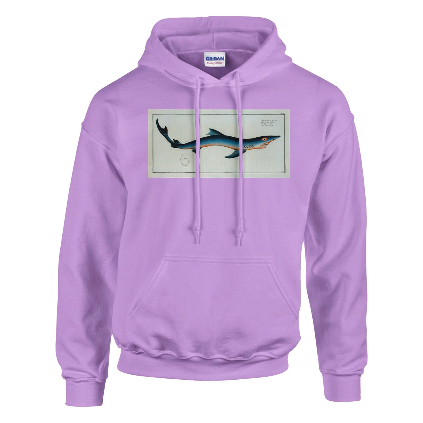 Sweat Requin «Le Cagnot bleu» - Squalus Glaucus - image 53002018652493