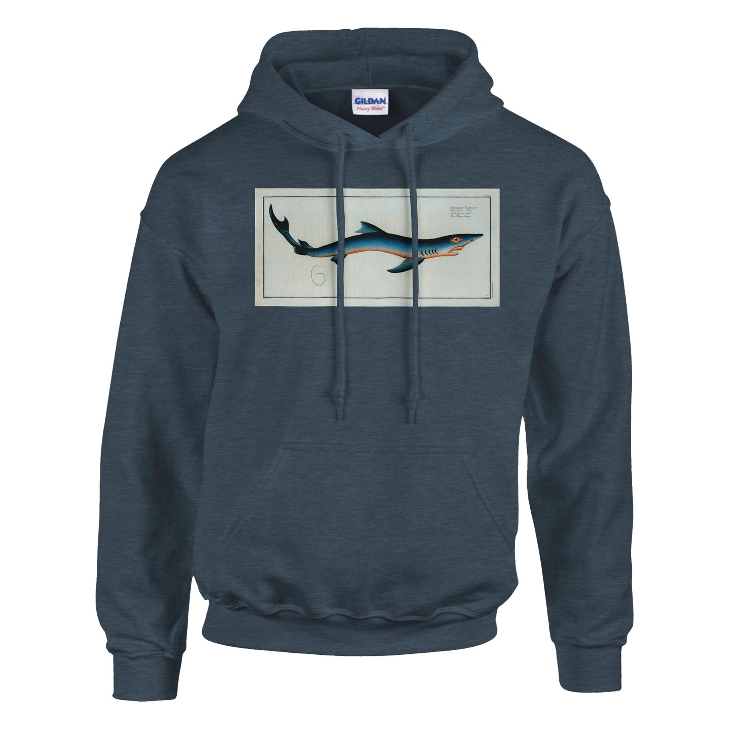 Sweat Requin «Le Cagnot bleu» - Squalus Glaucus - image 53002018849101