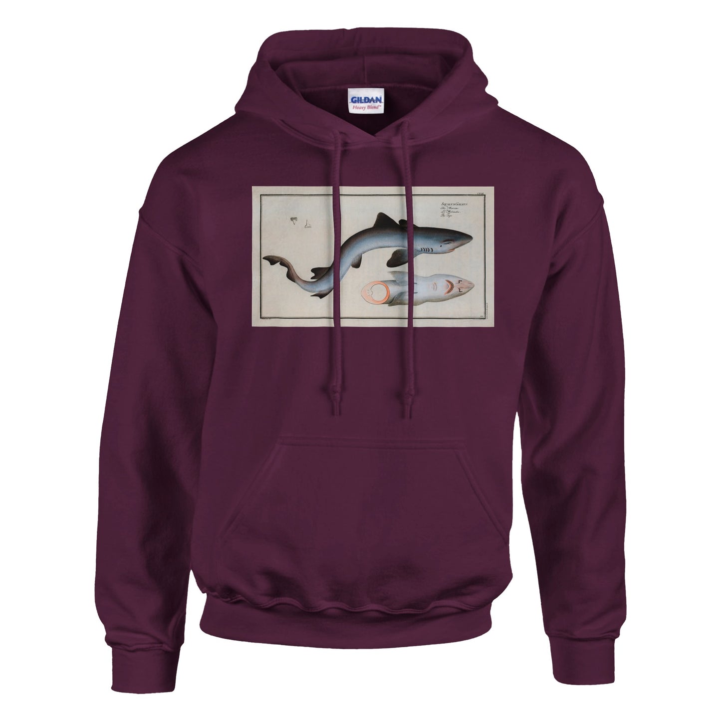 Sweat Requin «Le Milandre» - Squalus Galeus - image 53002000695629