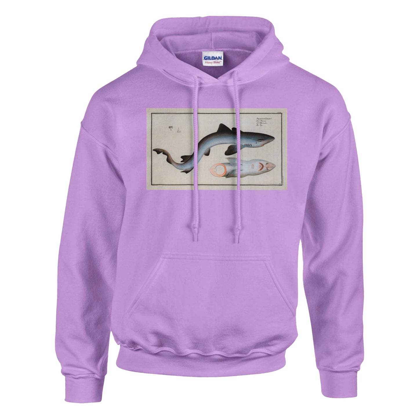 Sweat Requin «Le Milandre» - Squalus Galeus - image 53002000761165