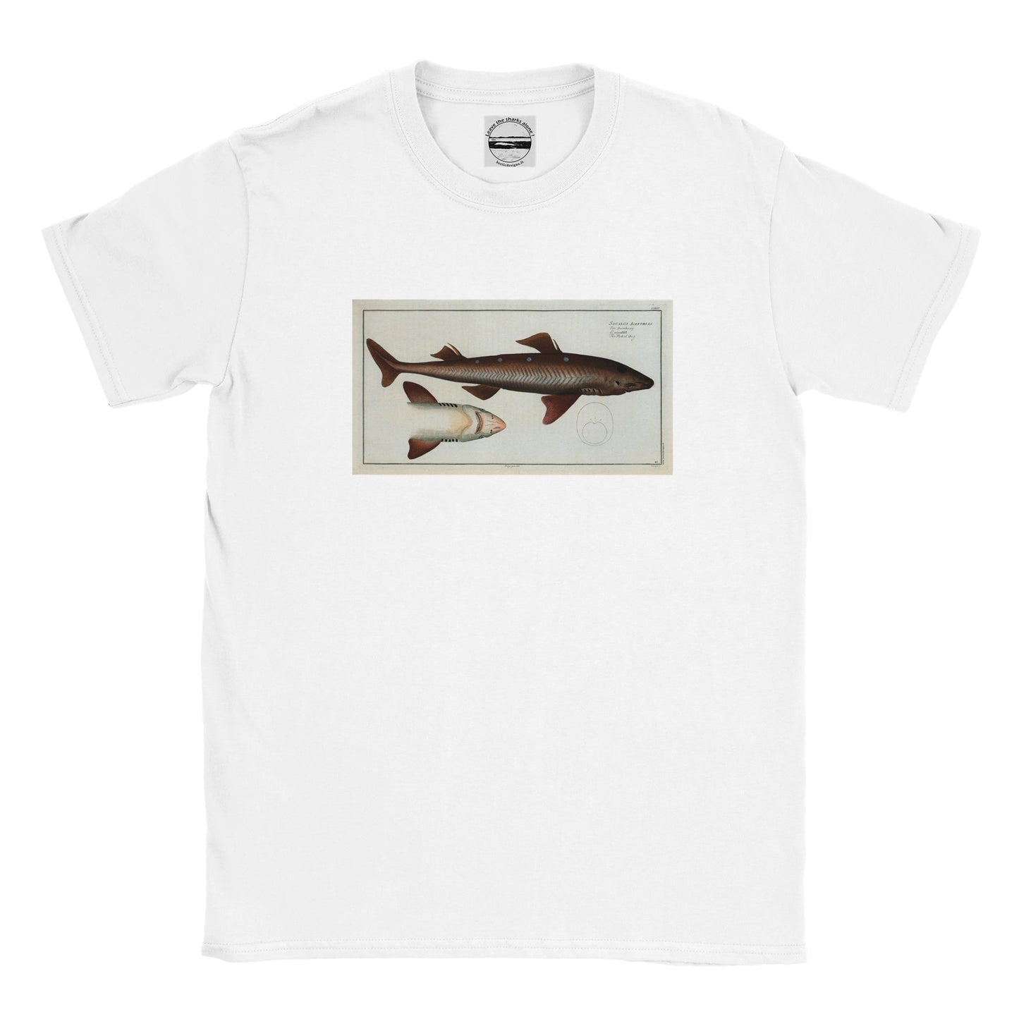 T-Shirt Requin «L'Aiguillât» - Squalus Acanthias - Couleur Blanc