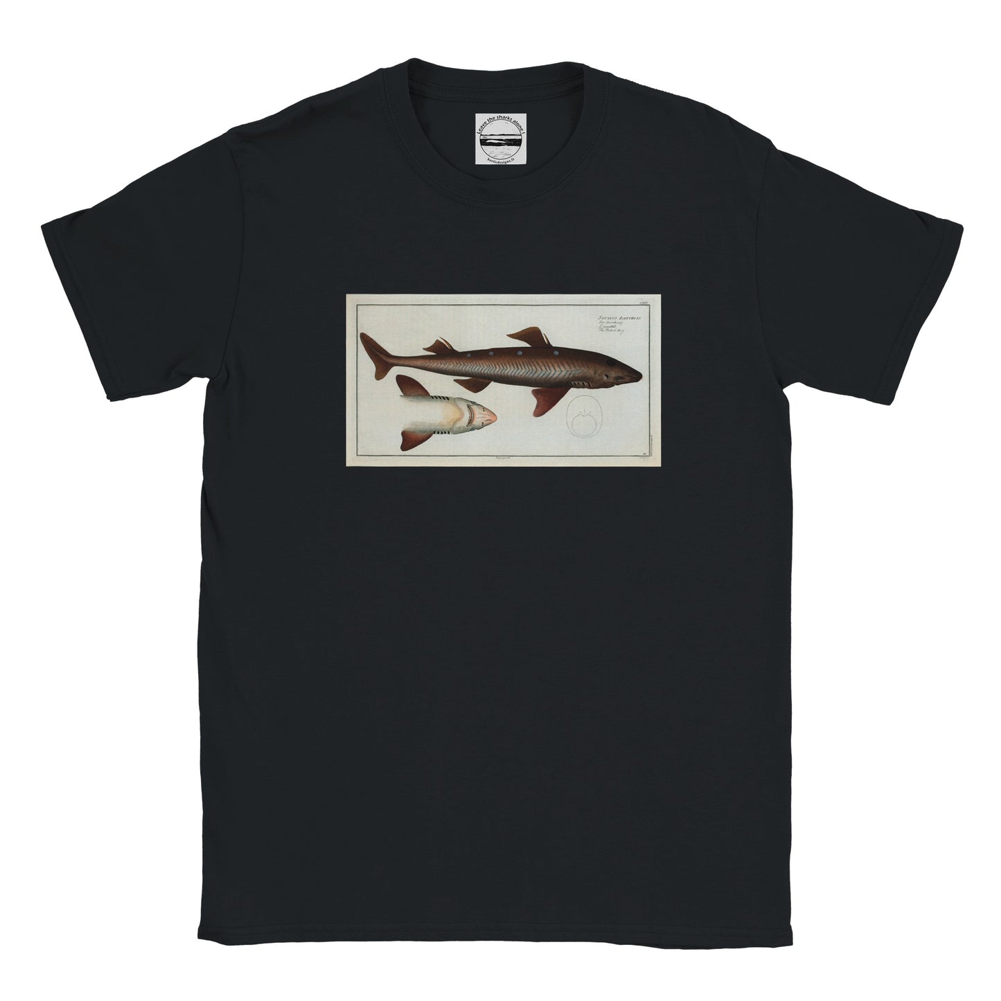 T-Shirt Requin «L'Aiguillât» - Squalus Acanthias - Couleur Noir