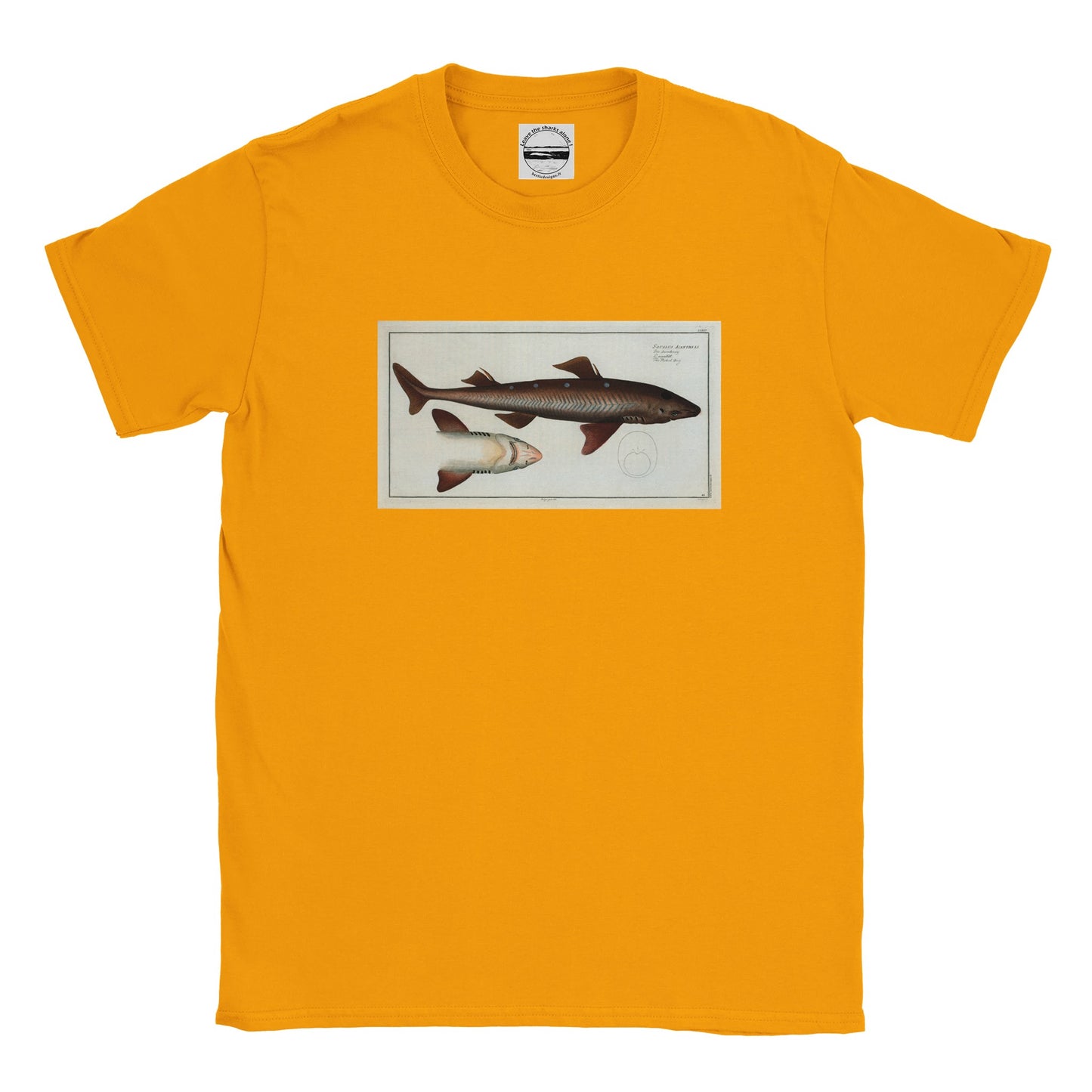 T-Shirt Requin «L'Aiguillât» - Squalus Acanthias - Couleur Or
