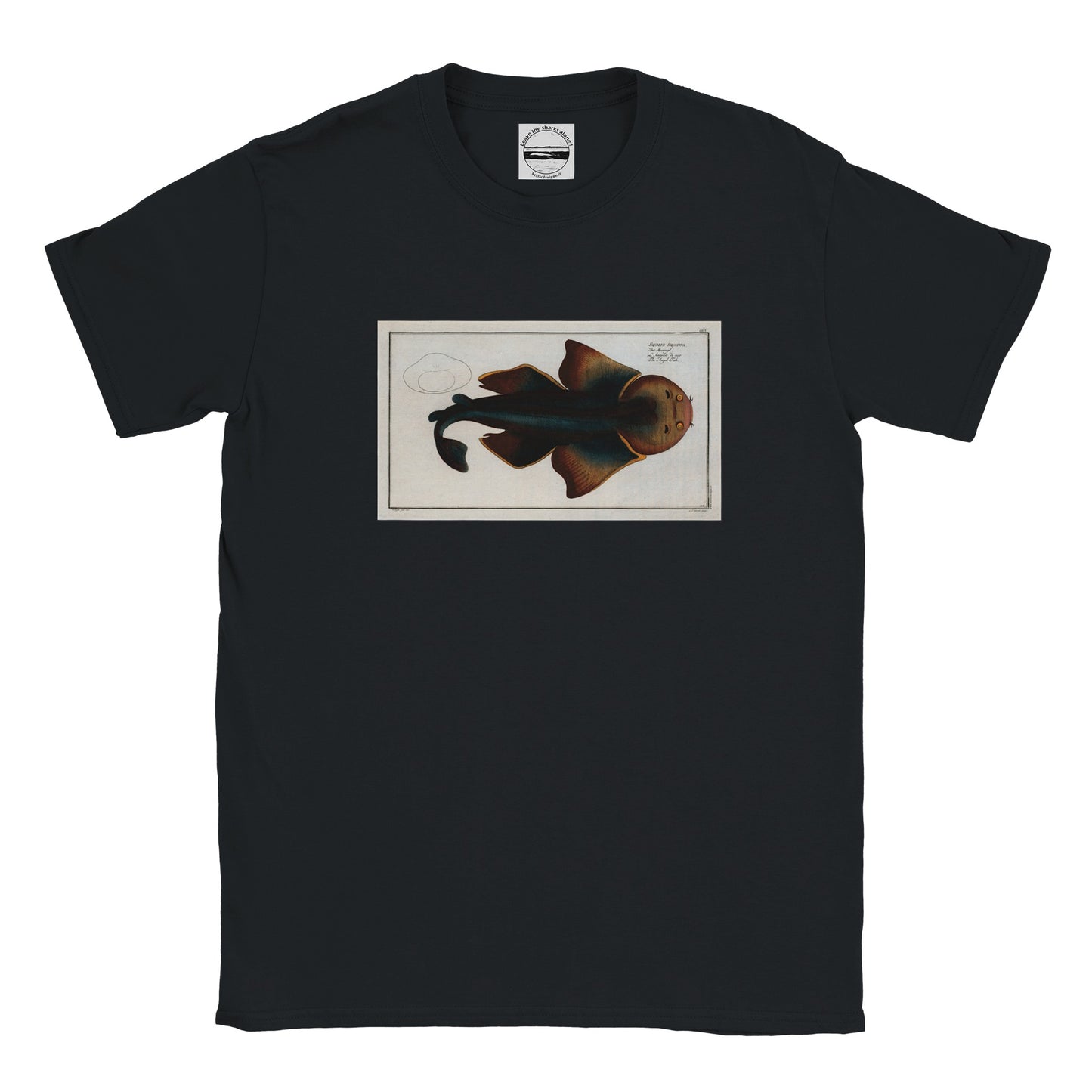 T-Shirt Requin «L'Angelot de mer» - Squalus Squatina - Couleur Noir
