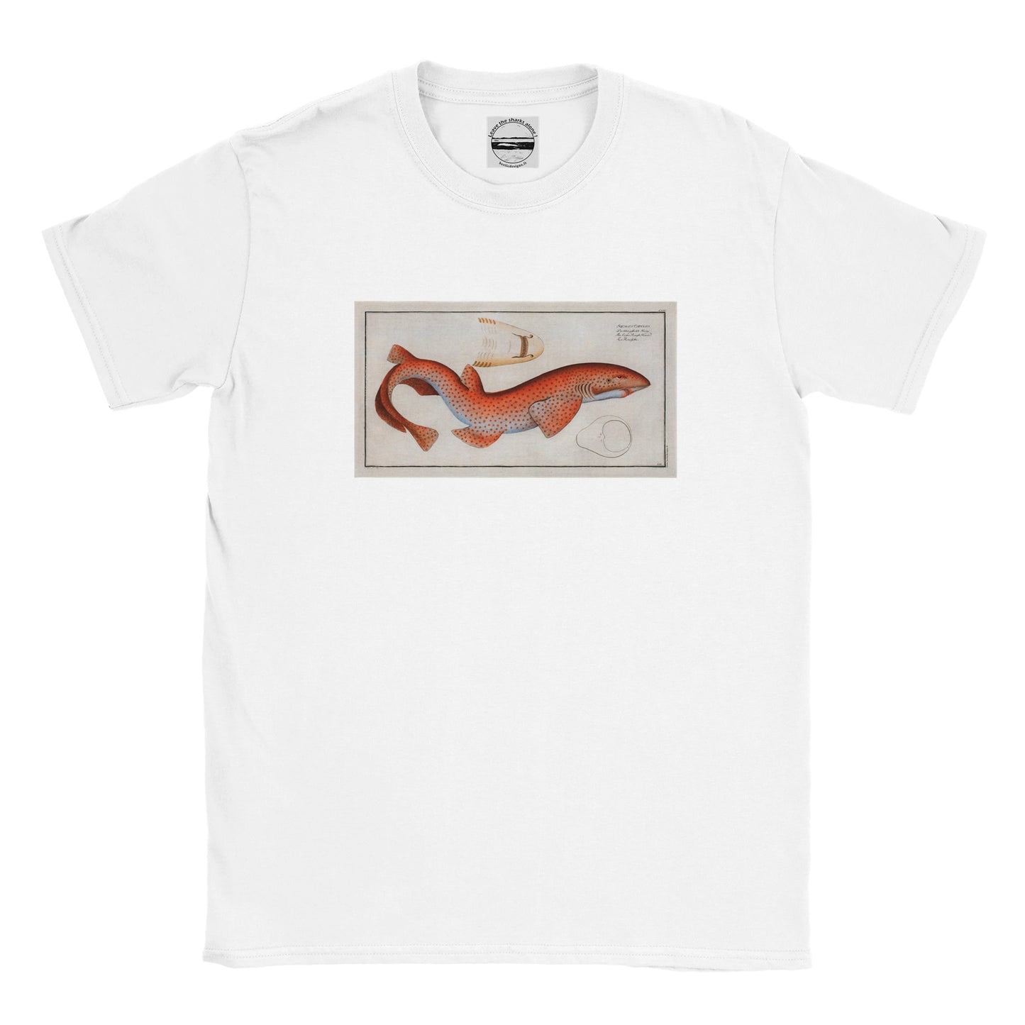 T-Shirt Requin «La Roussette» - Squalus Catulus - Couleur Blanc
