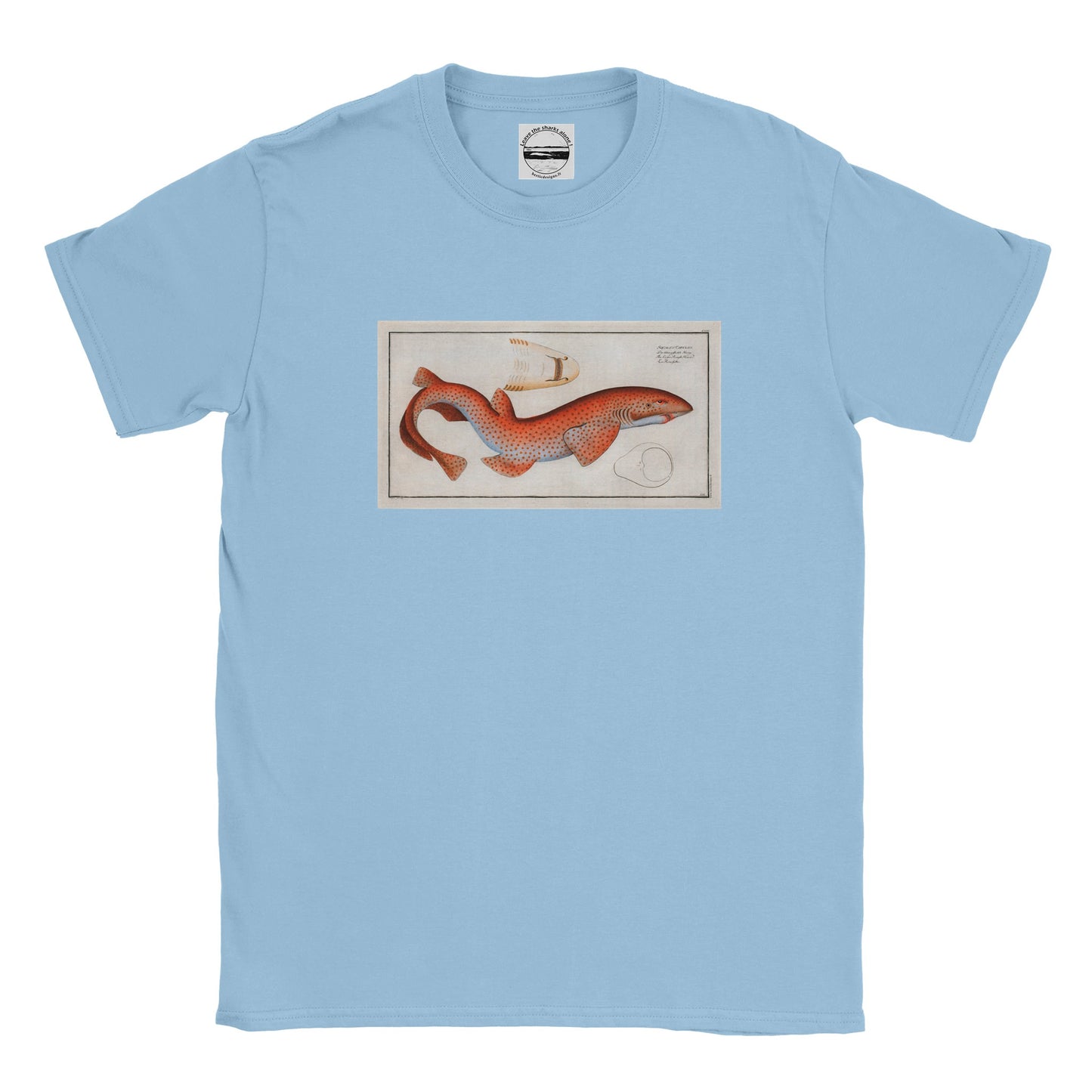 T-Shirt Requin «La Roussette» - Squalus Catulus - Couleur Bleu clair