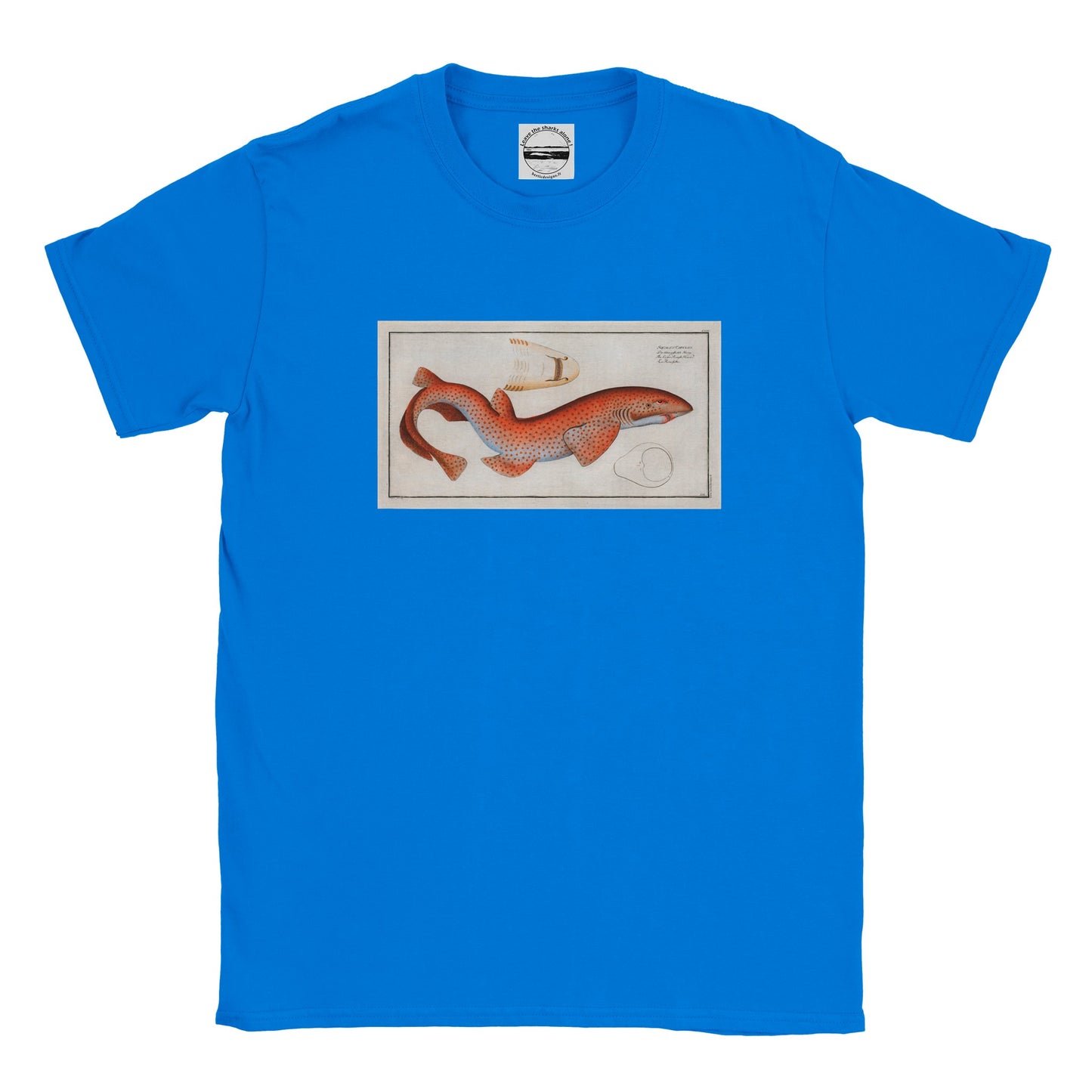 T-Shirt Requin «La Roussette» - Squalus Catulus - Couleur Bleu roi