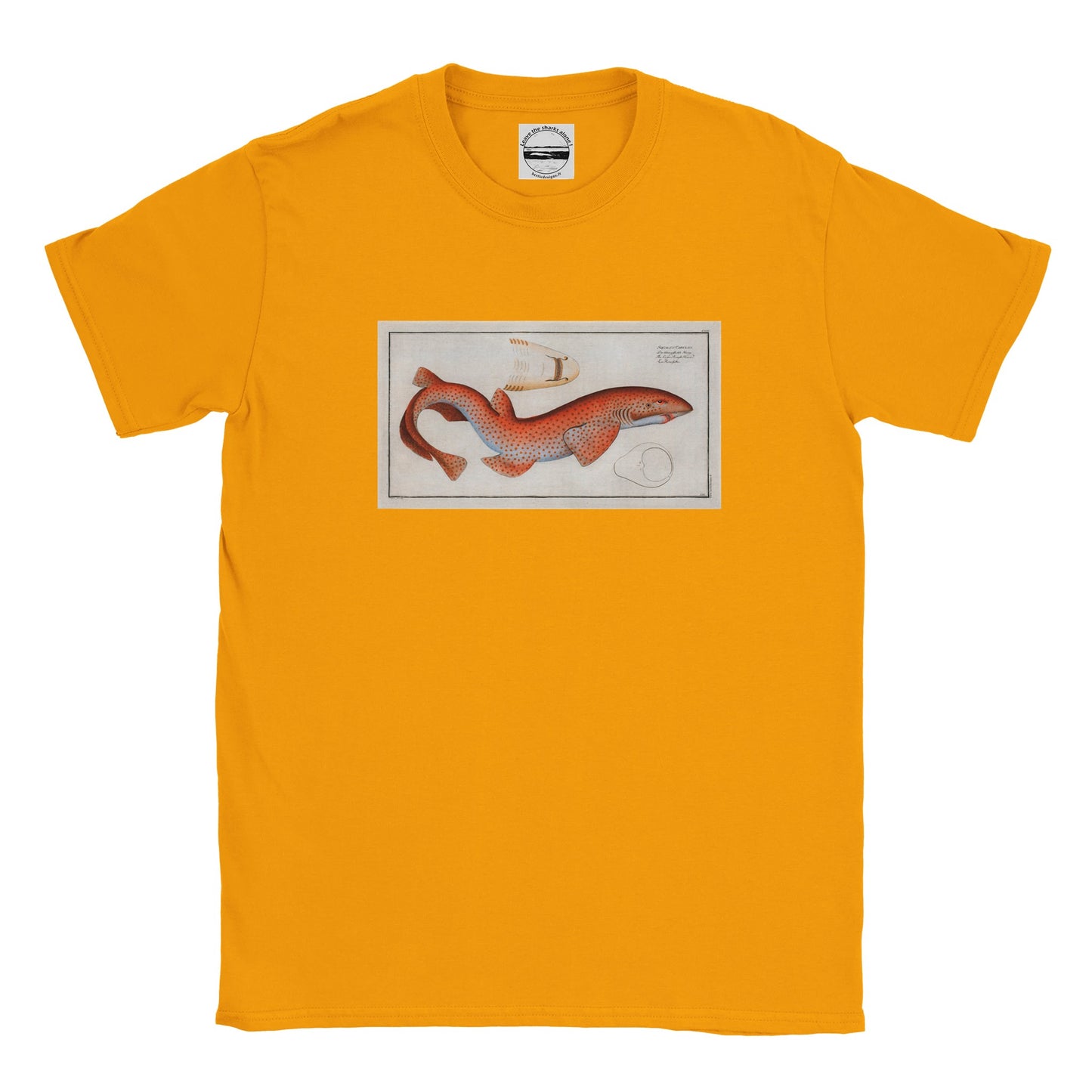 T-Shirt Requin «La Roussette» - Squalus Catulus - Couleur Or