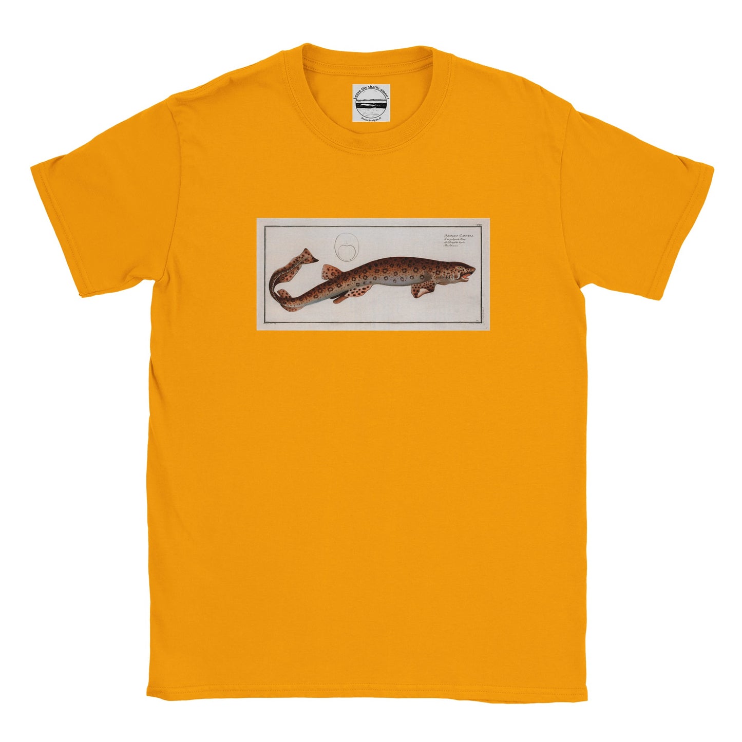 T-Shirt Requin «La Roussette tigrée» - Squalus Canicula - Couleur Or
