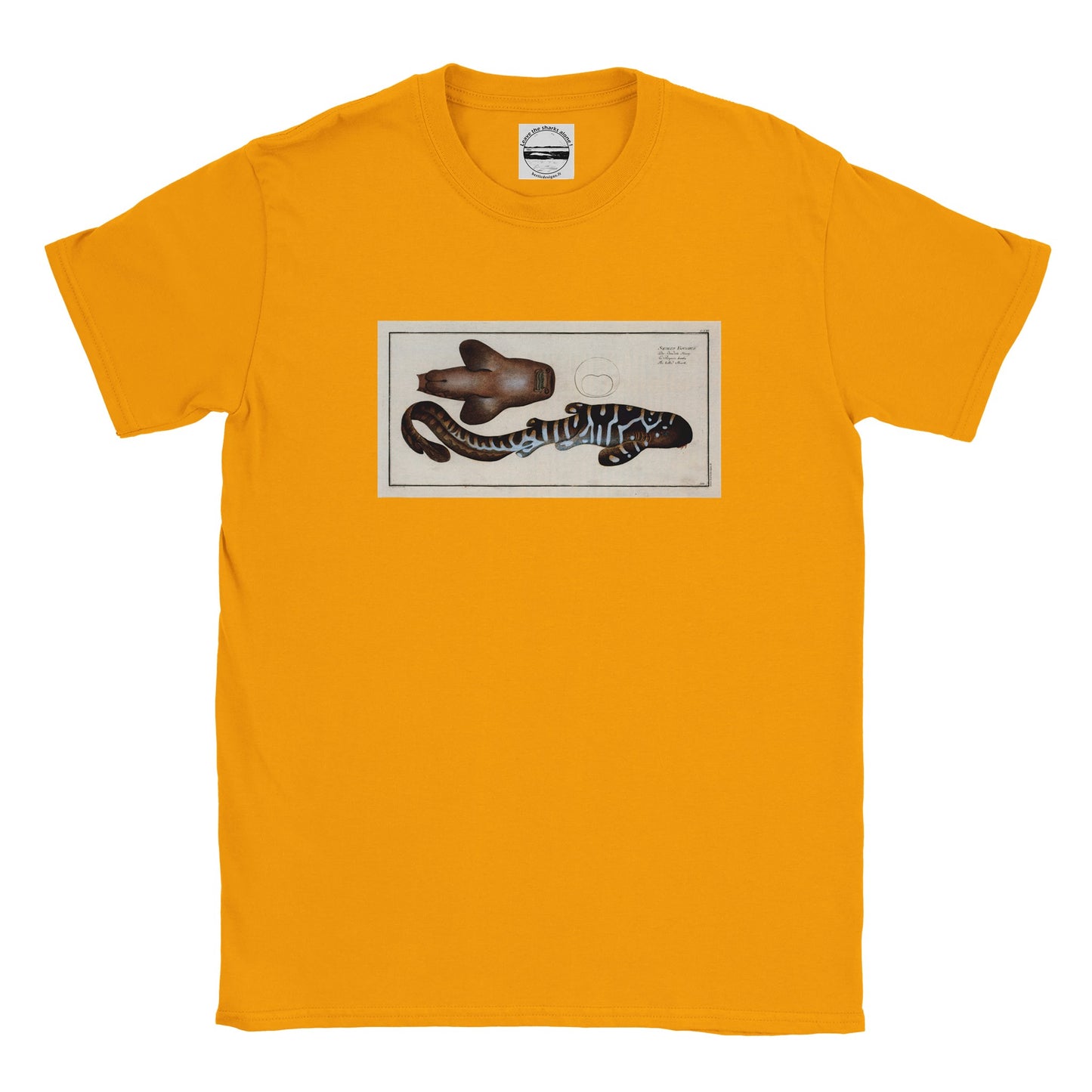 T-Shirt Requin «Le Barbu» - Squalus Fasciatus - Couleur Or