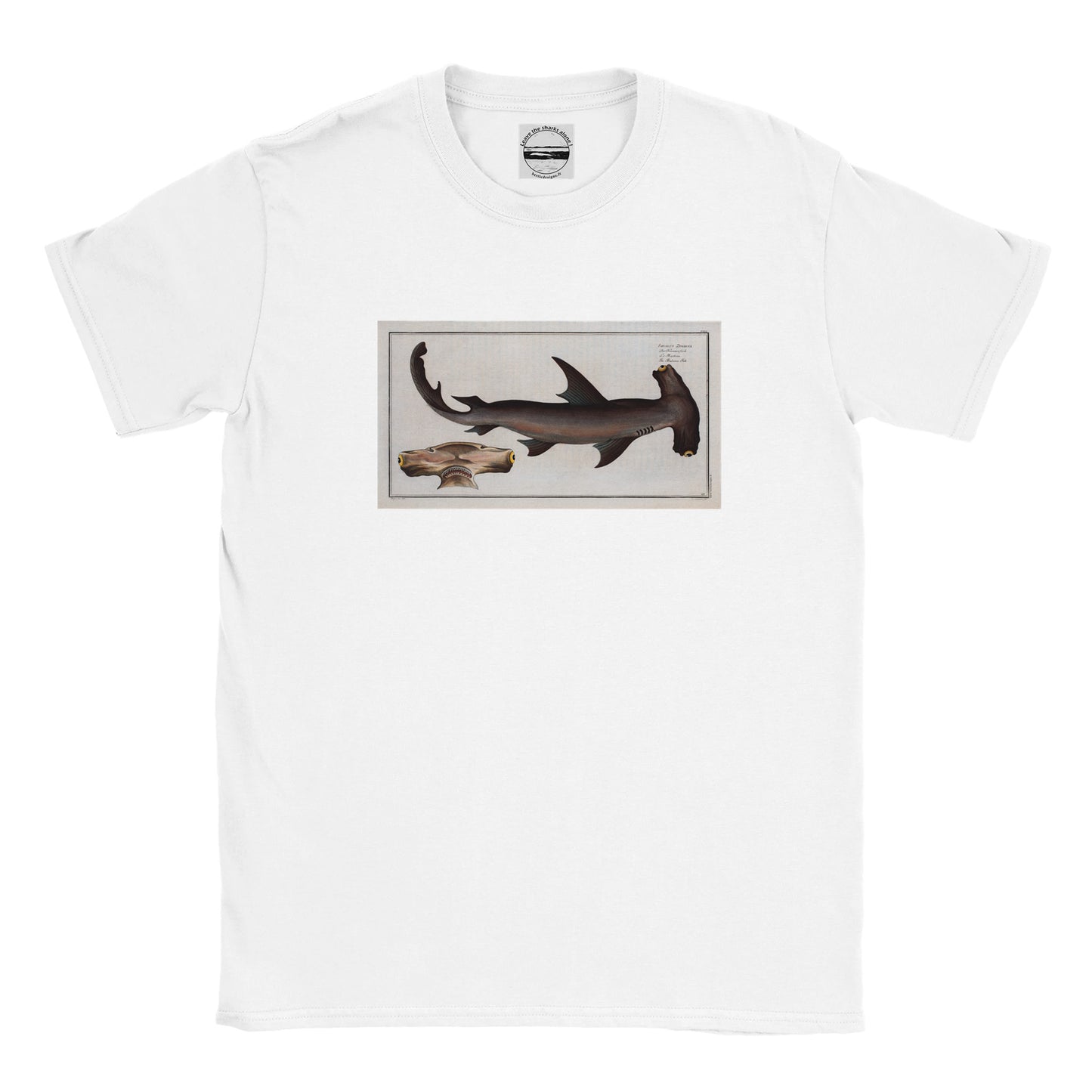 T-Shirt Requin «Le Marteau» - Squalus Zygaena - Couleur Blanc