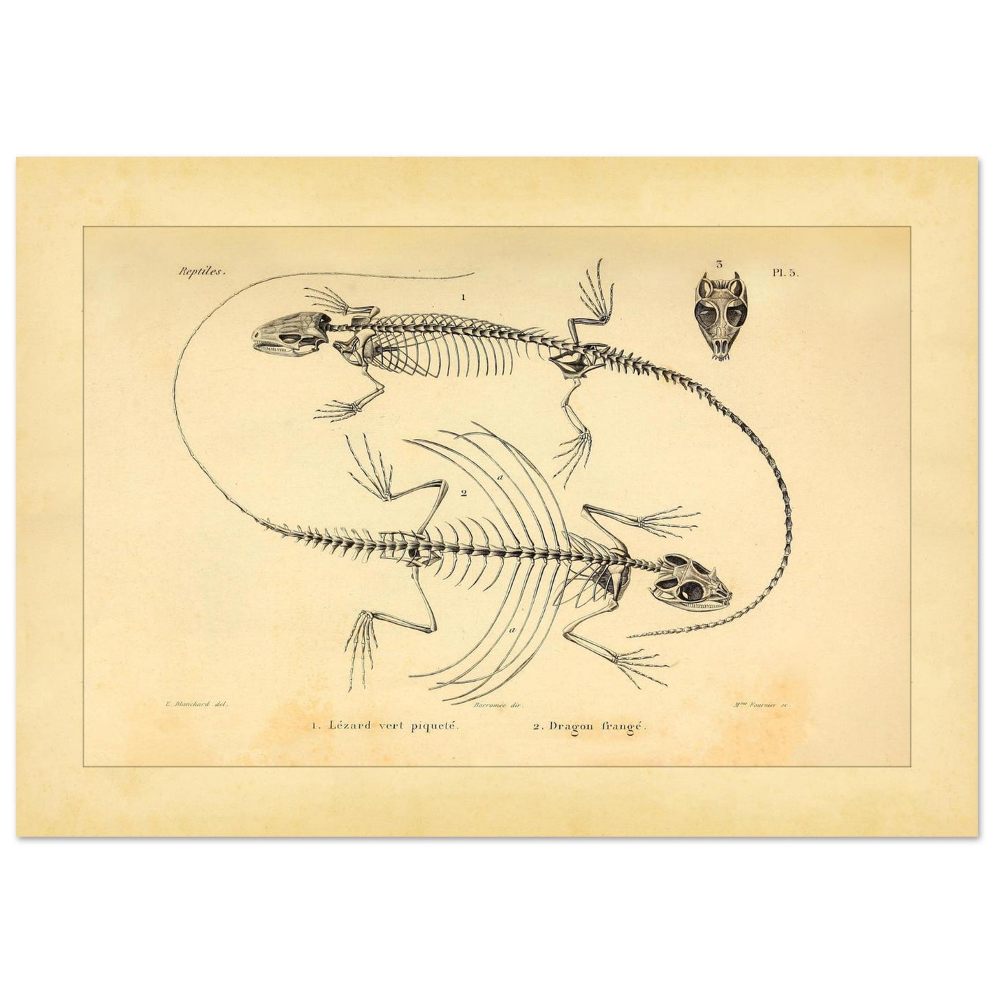 01d2e84b-a98b-49a8-af74-e2e350a851ee