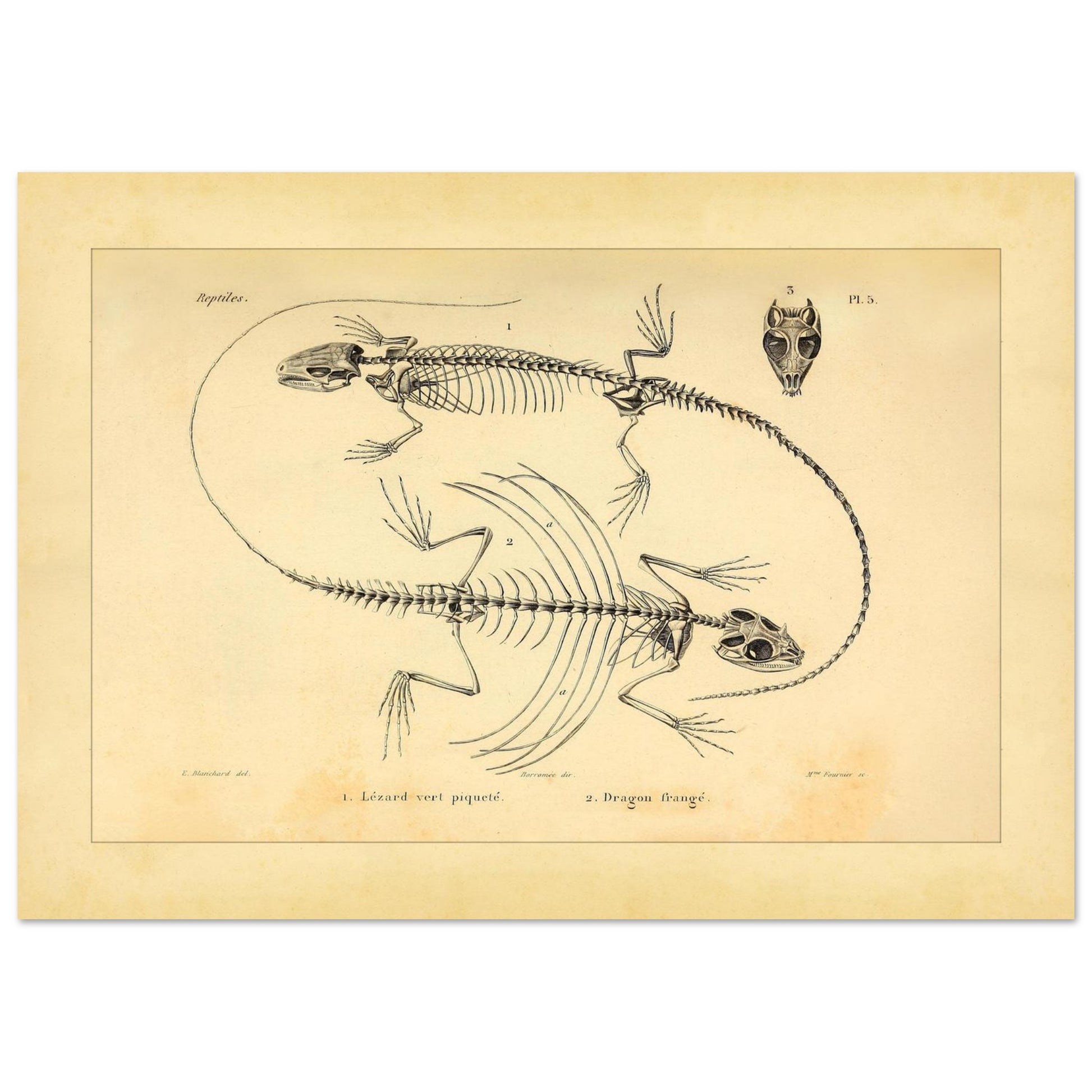 01d2e84b-a98b-49a8-af74-e2e350a851ee