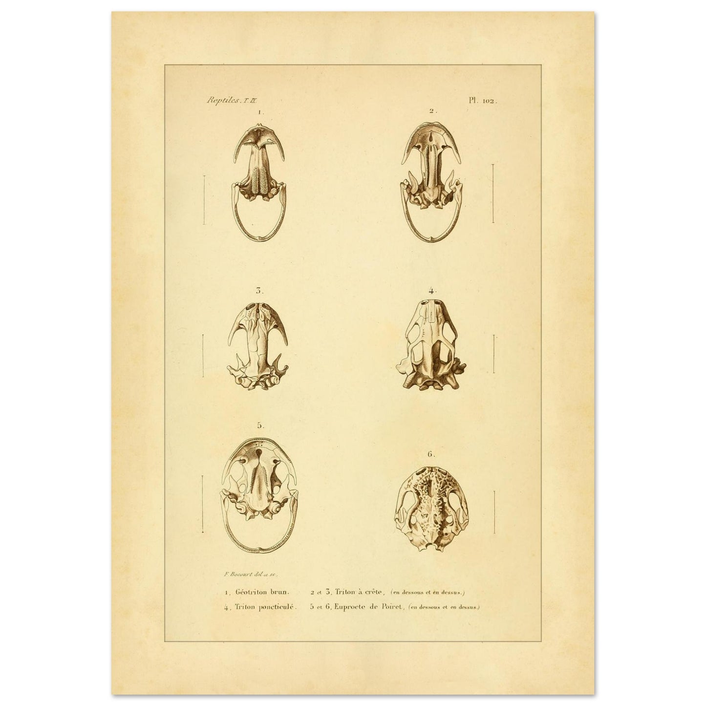 01e60c13-7e97-49bd-bf3c-a763dc0d55ea