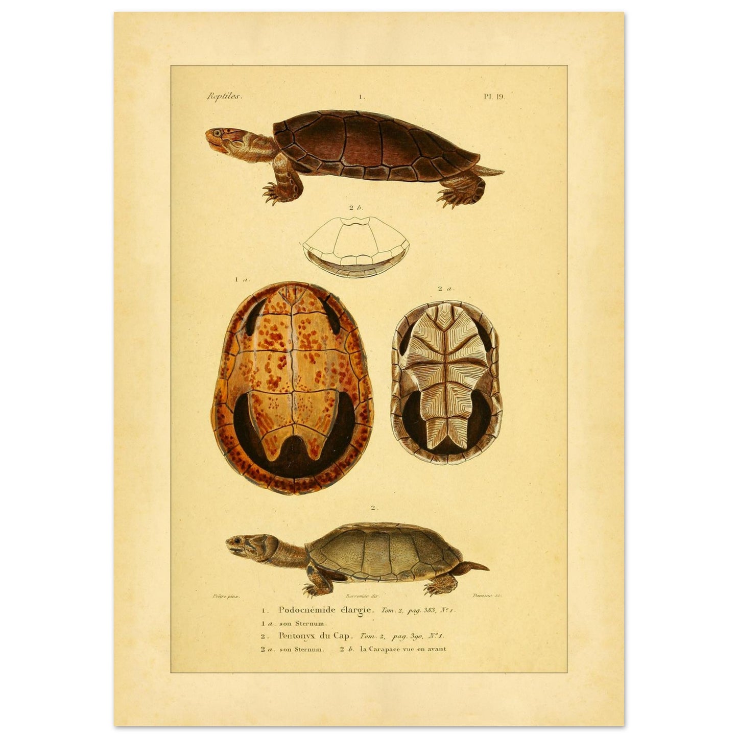 03f1a874-a6f1-4442-94d7-450550c05520