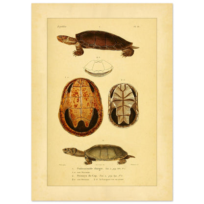 03f1a874-a6f1-4442-94d7-450550c05520