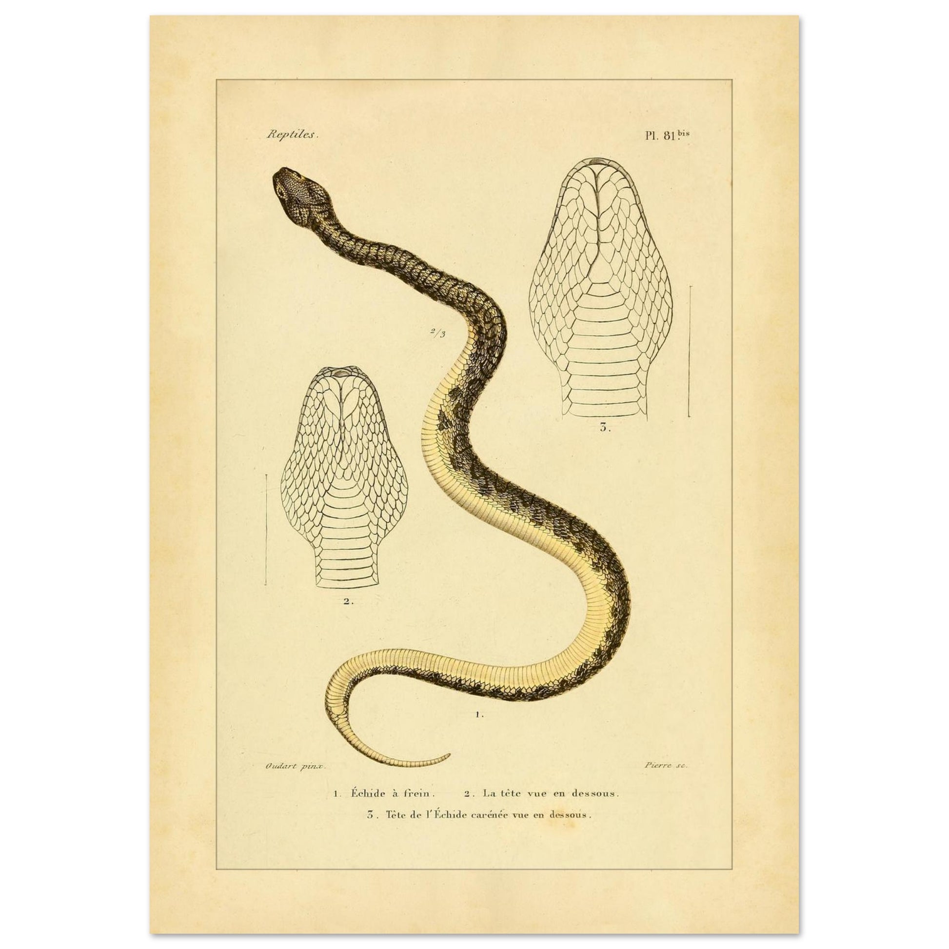 06d60812-adcf-41ad-aece-1c70c1f6535a