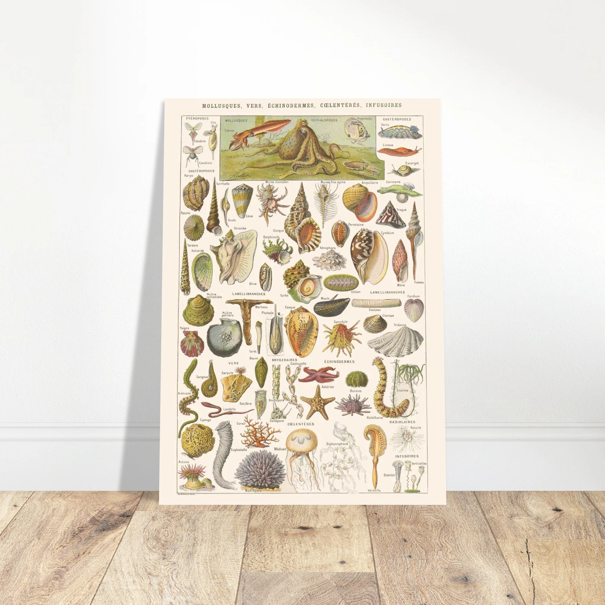 07b51b16-0925-4dd5-9cdd-cdacd17c96ab