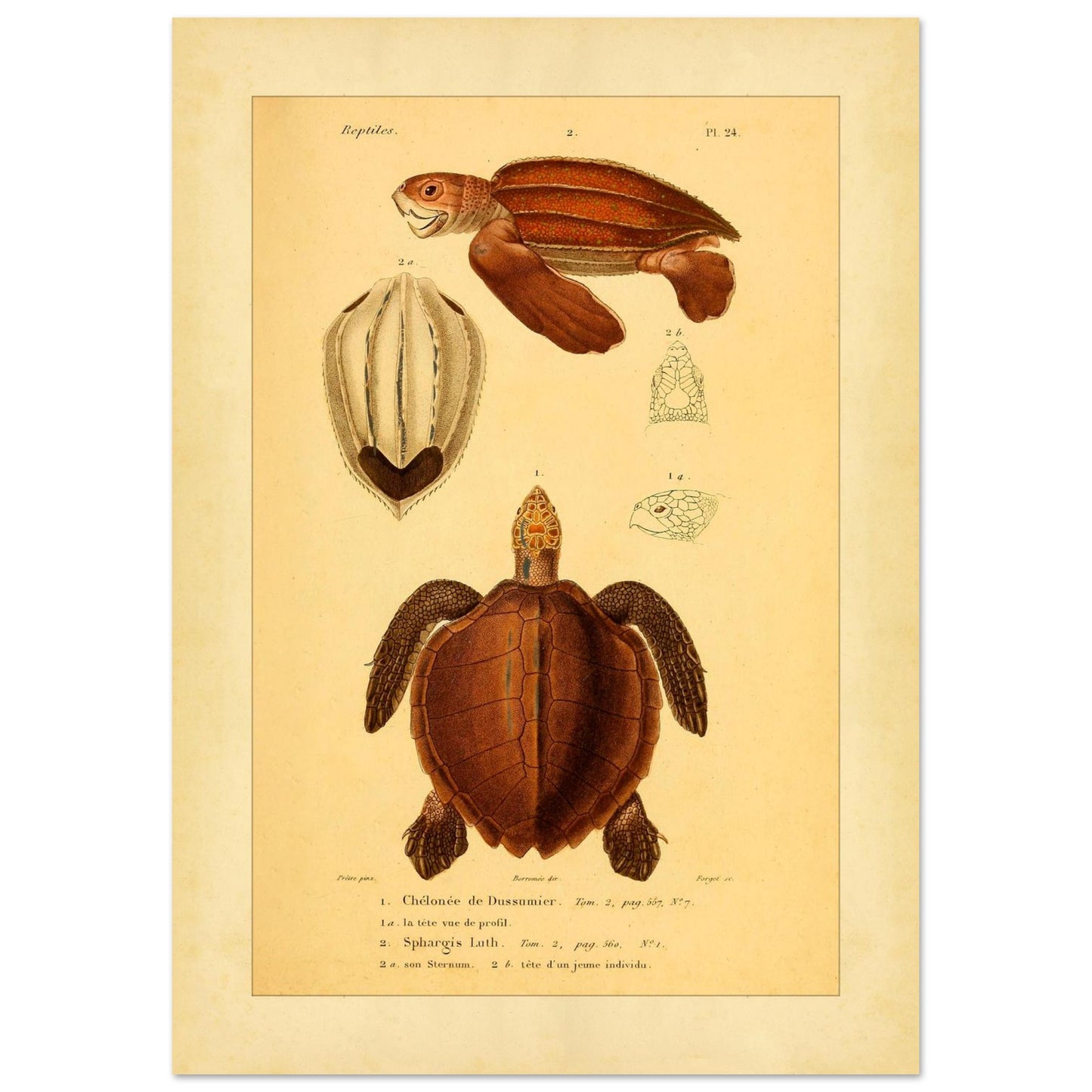 0800de93-7ff4-4031-84eb-8cf6034f1947