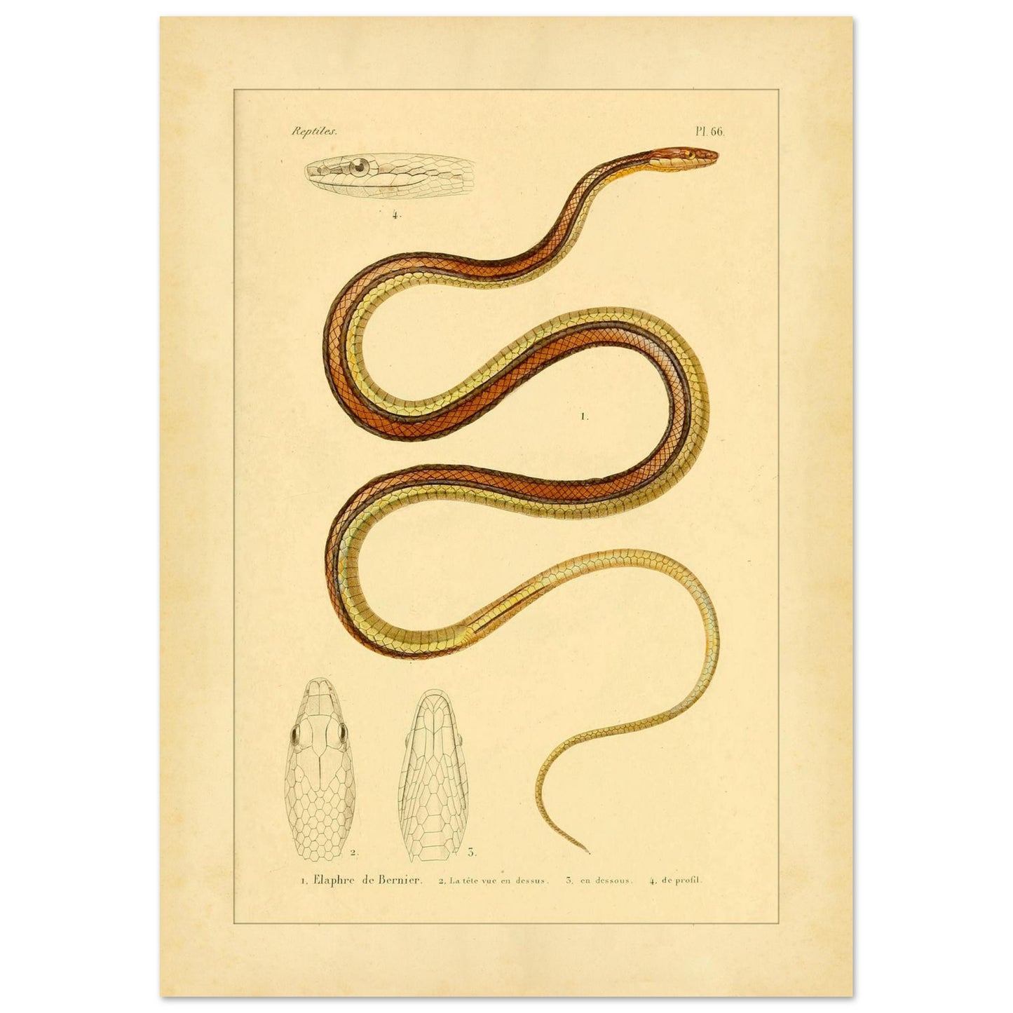 087dc117-bae4-47dc-bb2c-3a40d1b689ad