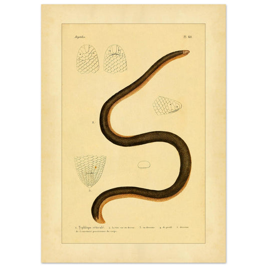 09754357-42a5-44e2-b054-e3d0ec01f5db