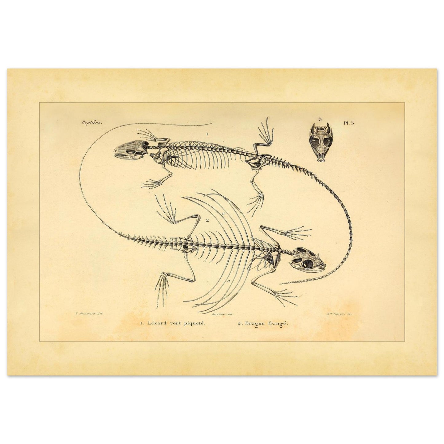 09feb8ba-8ab0-45fe-abc0-1d374016a631