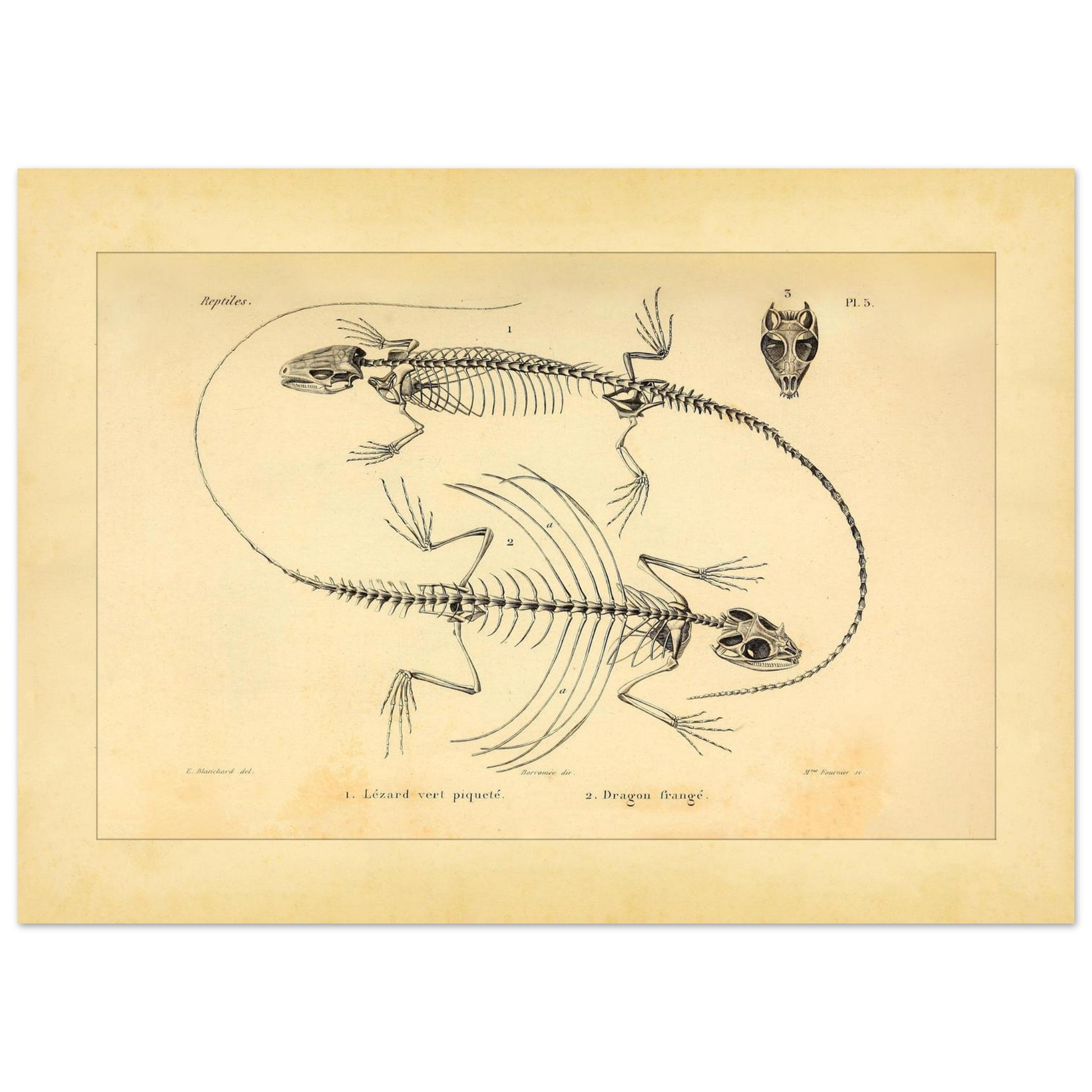 09feb8ba-8ab0-45fe-abc0-1d374016a631