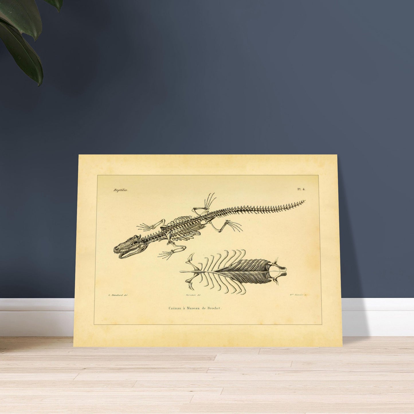 0a53f0d3-b5b3-47bb-9eb6-9aa6bb3e4e6f