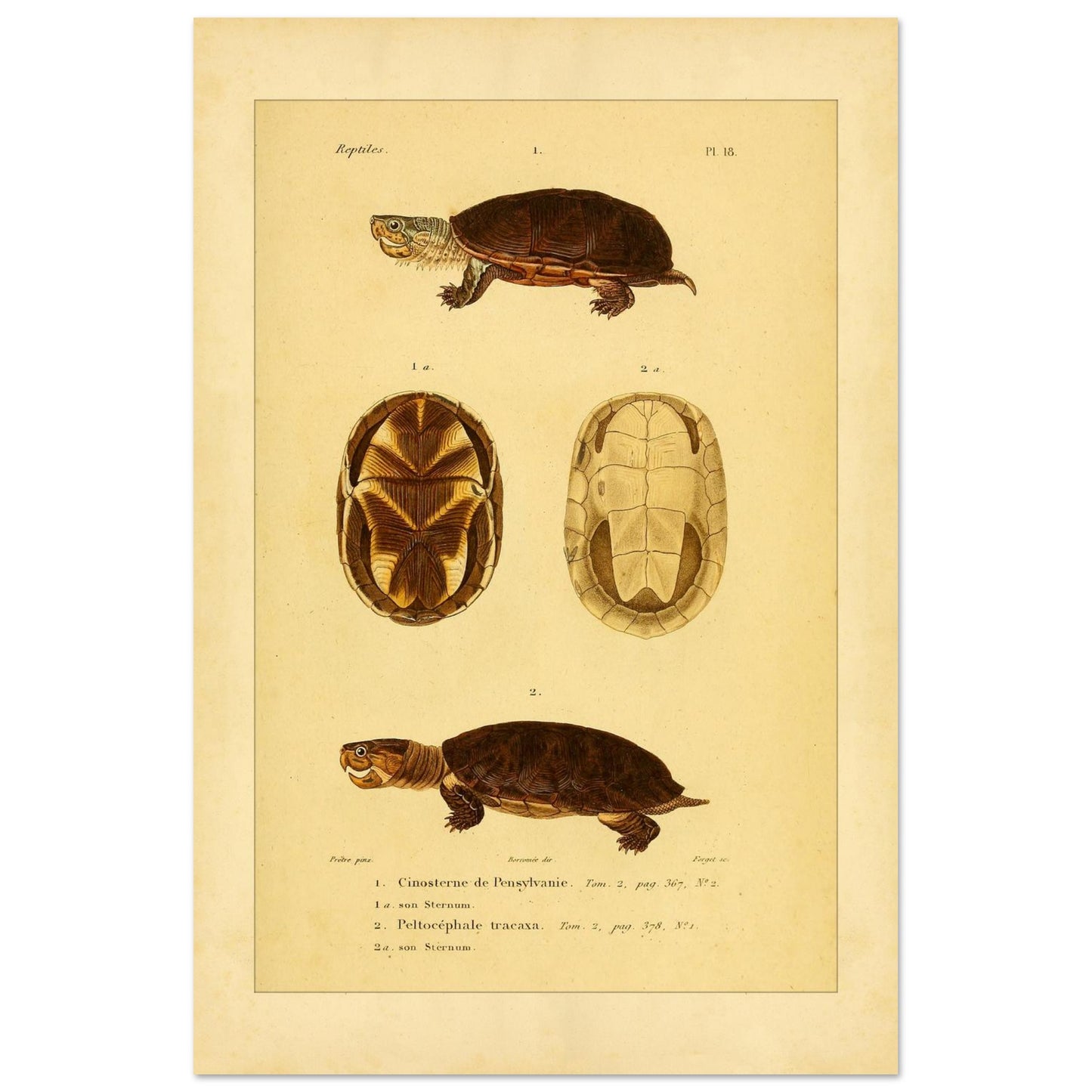 0b3825f0-f569-44f7-9421-0c90fe138299