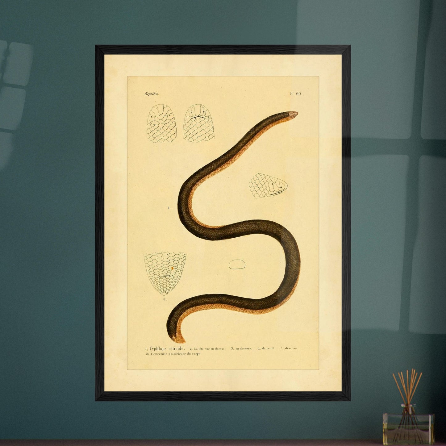 0b556267-cca0-4e75-a4a7-70079fa30f93