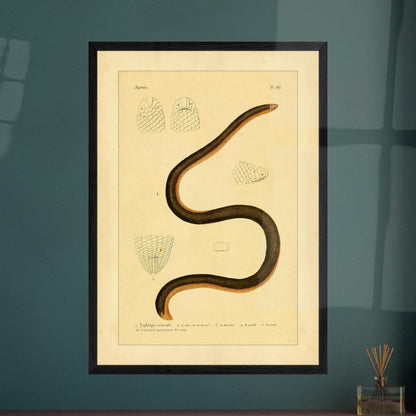 0b556267-cca0-4e75-a4a7-70079fa30f93