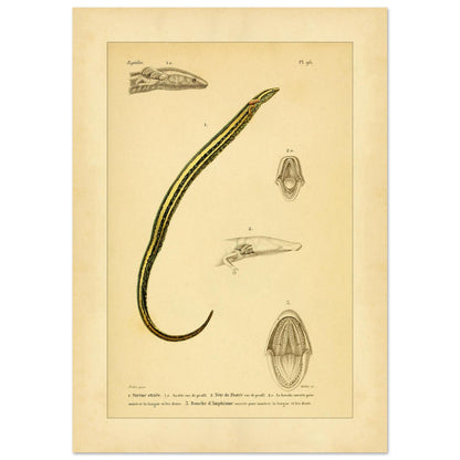 0ca266b8-2a8e-47c9-bed6-337233deb664