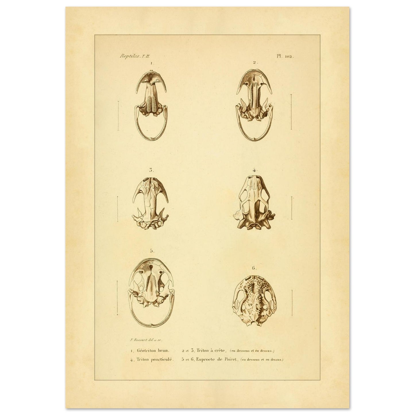 0daab46b-368a-4d27-a05c-6ee6516f7e8f