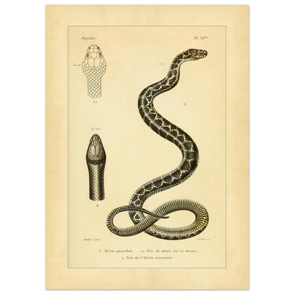 120b154d-f9c8-4c67-a0ae-838c6807c8b1