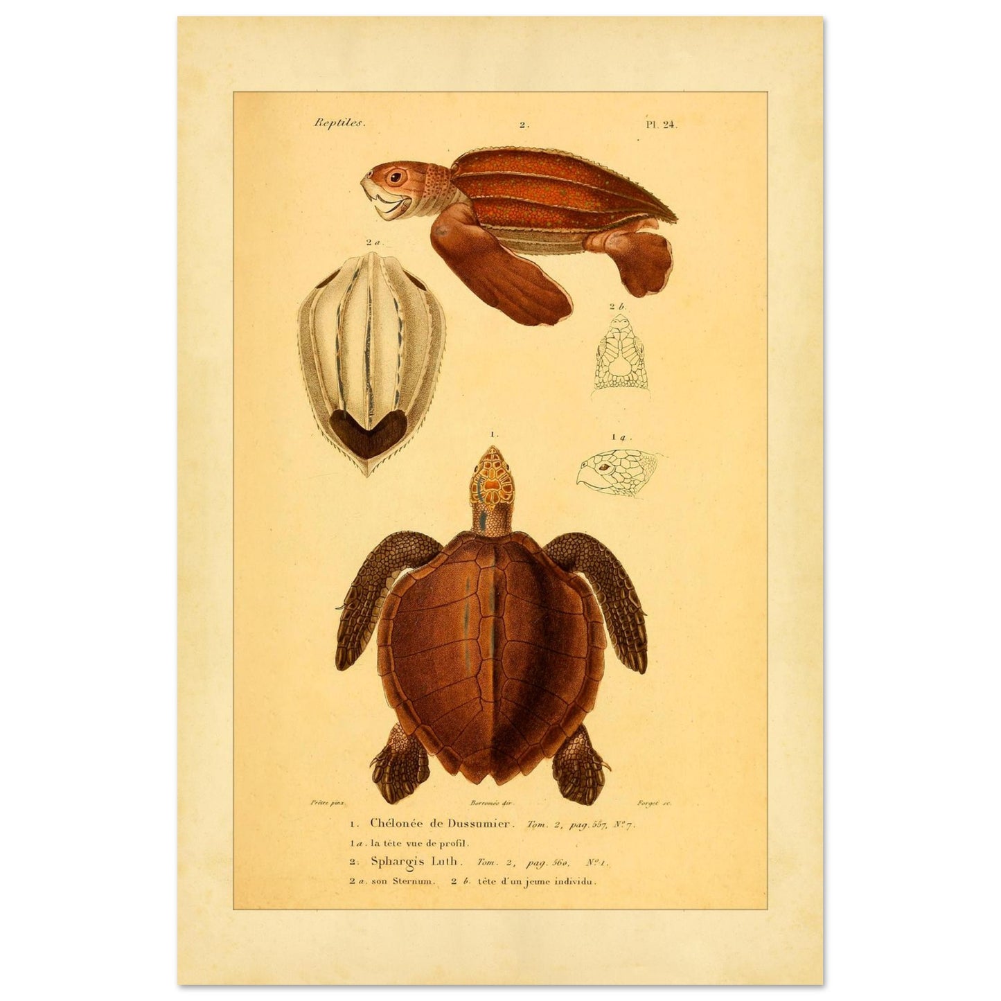 12a1709a-3d06-42fb-9173-0e27d00c0b9d