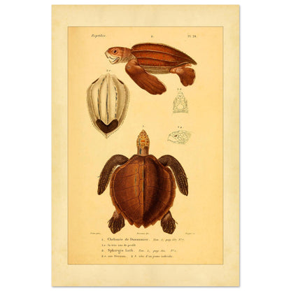 12a1709a-3d06-42fb-9173-0e27d00c0b9d